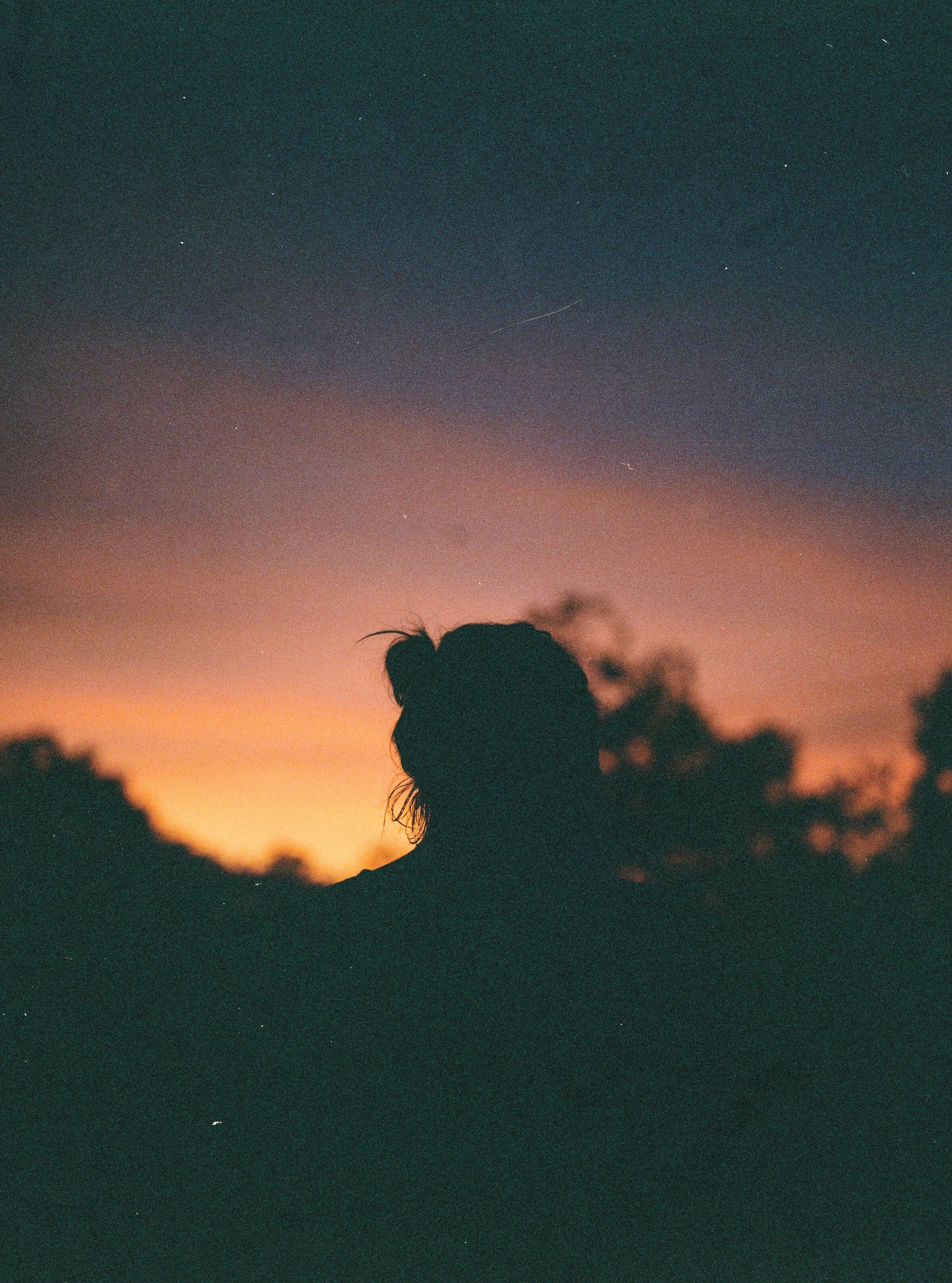 000009-4.jpg