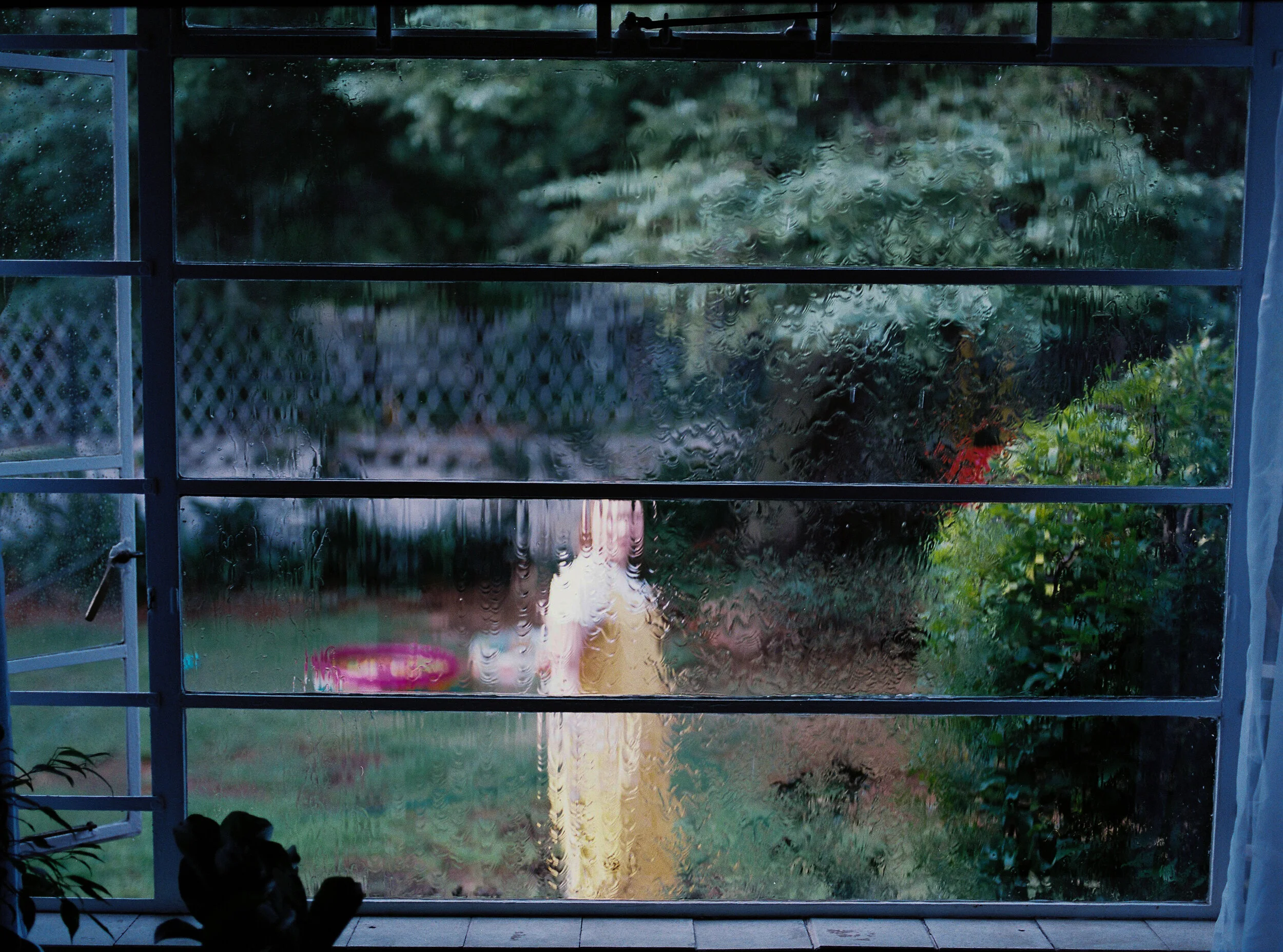 00008.jpg