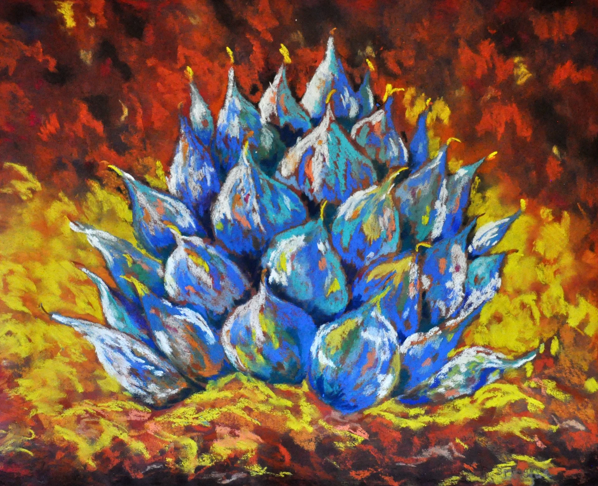 Blue-Agave,-web-size.jpg