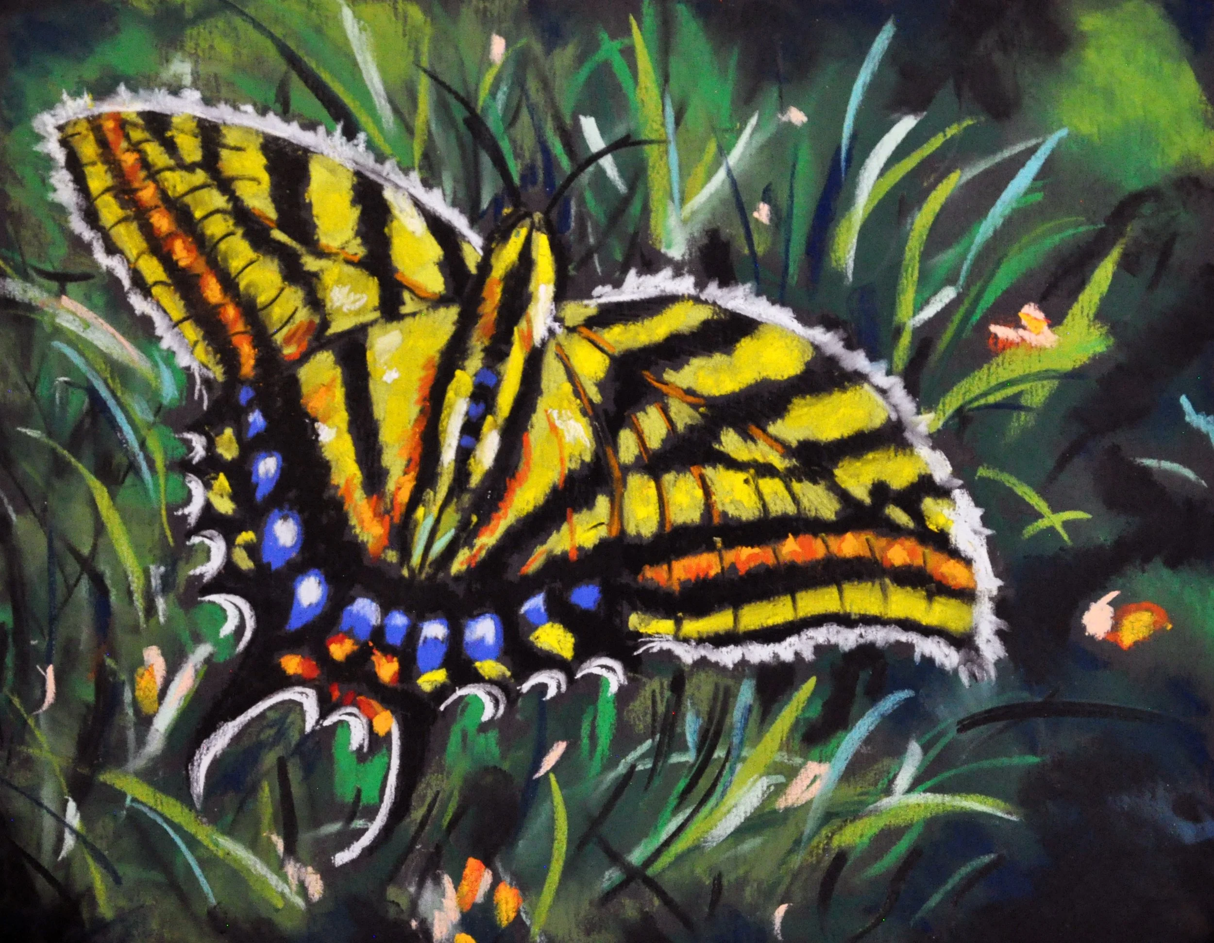 Butterfly, 8x10.jpg