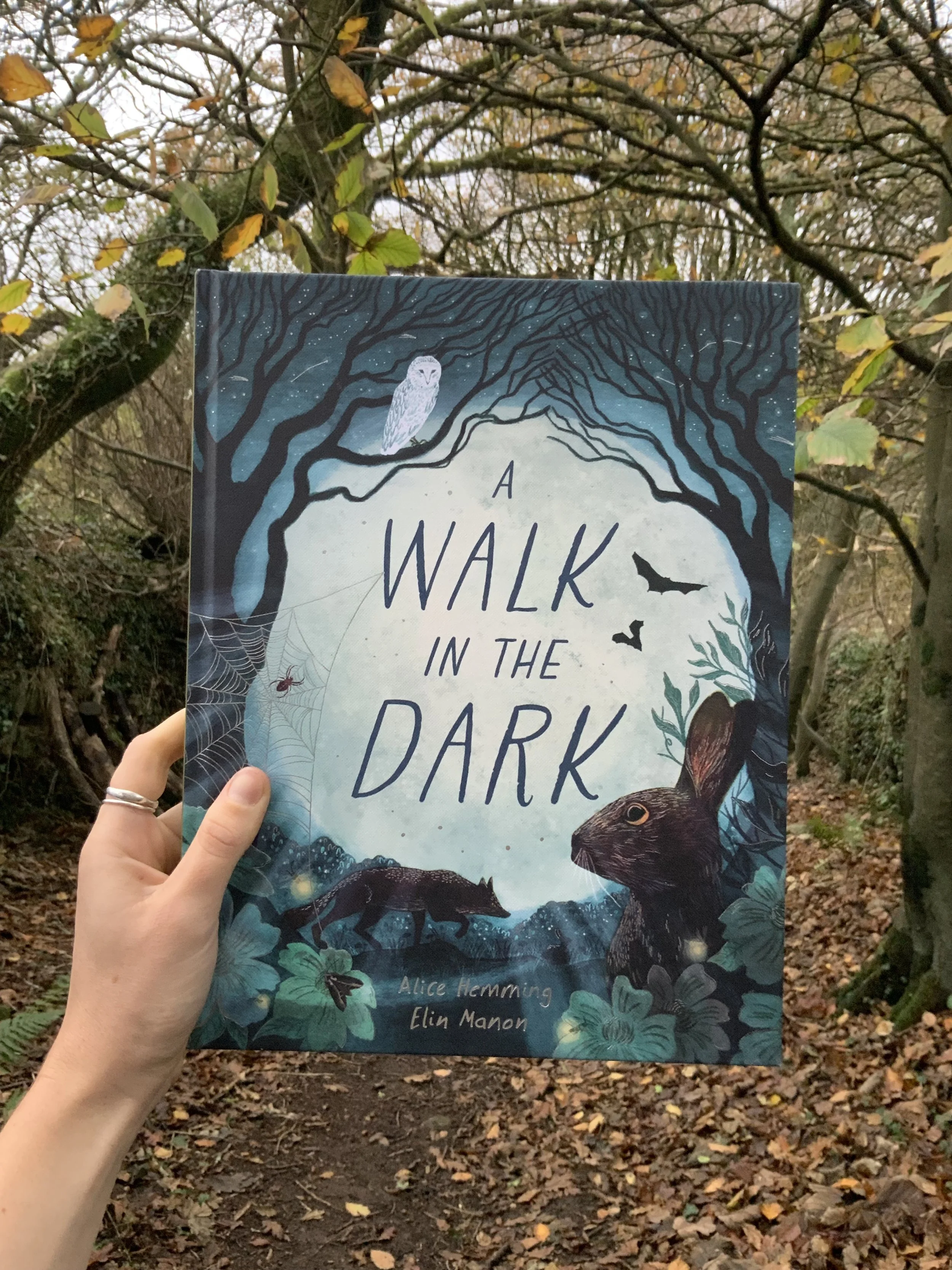 A Walk In The Dark