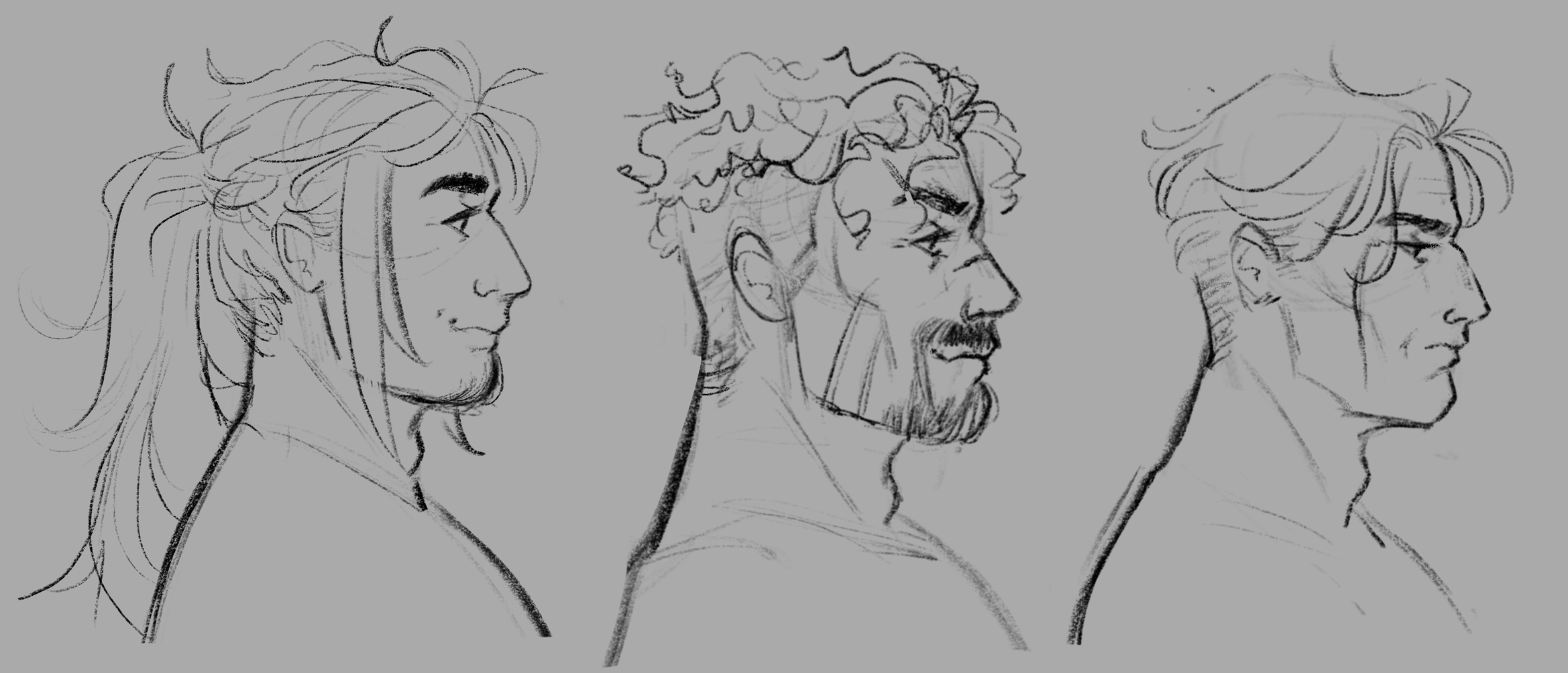 profile_yld.png