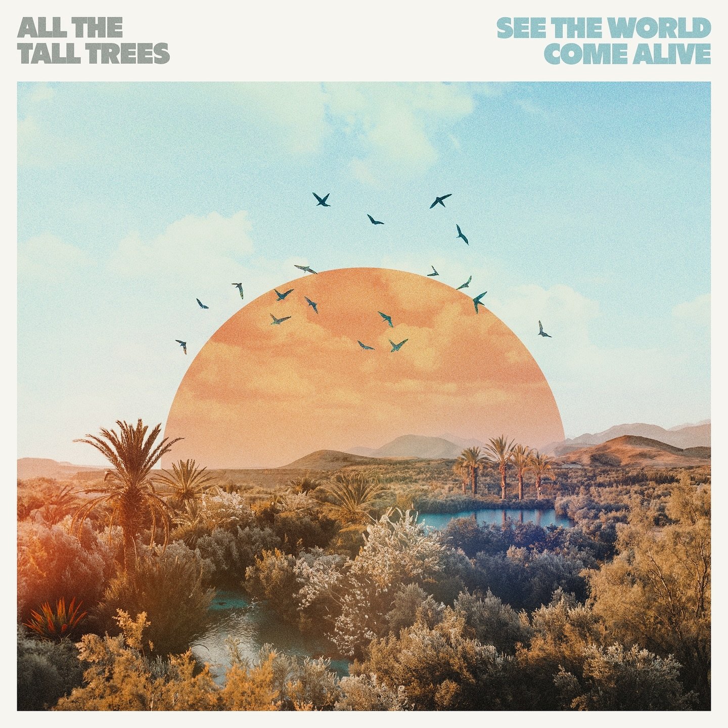 Cover art + lyric video for &ldquo;See The World Come Alive&rdquo; by @allthetalltrees - Out now!