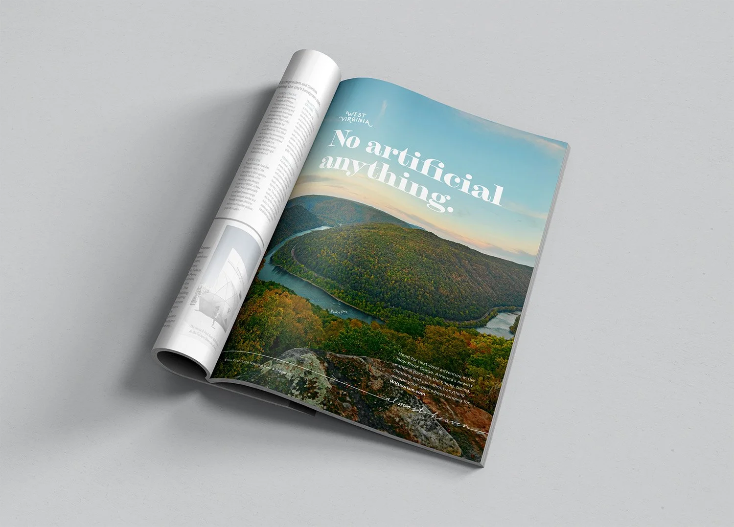 NoArtificial_MAG.jpg