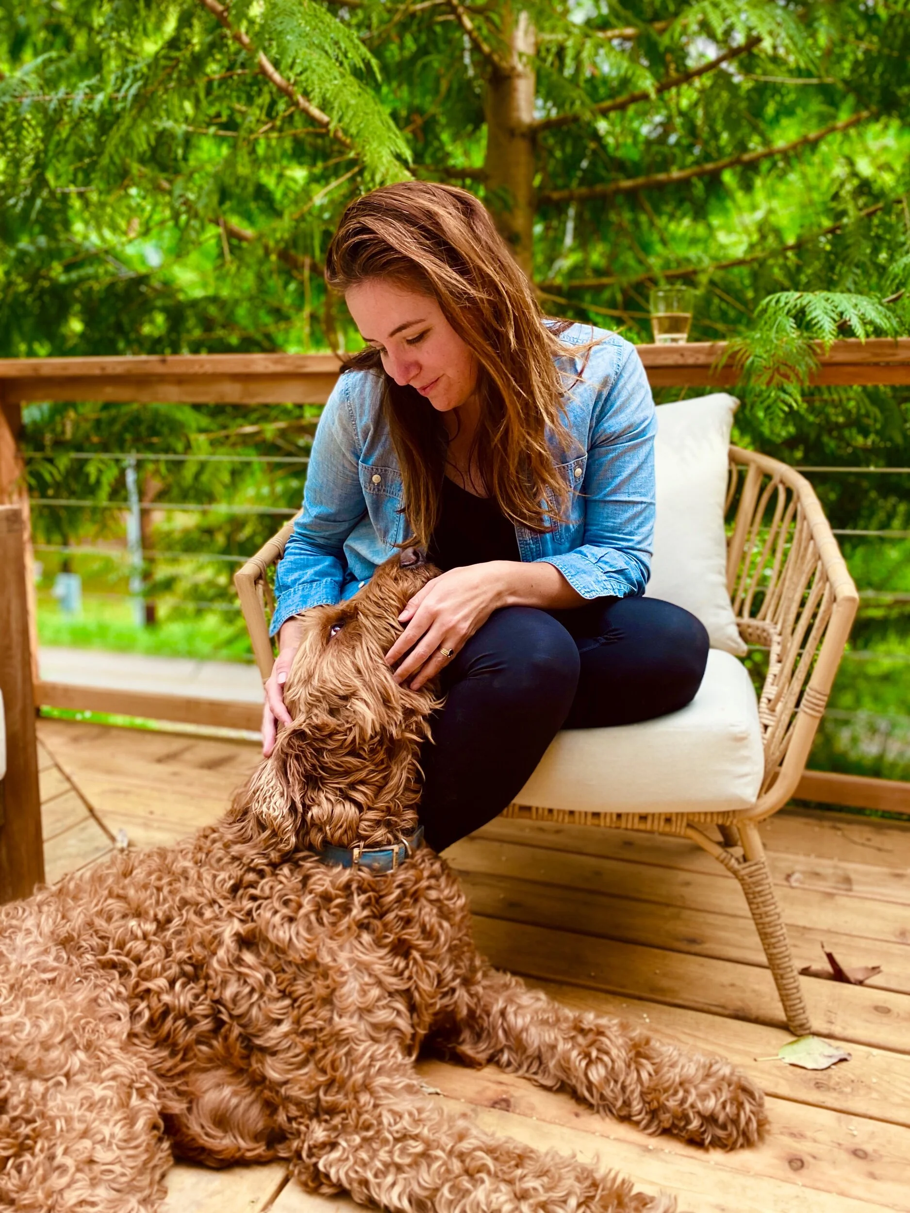 Sunny afternoons on the deck