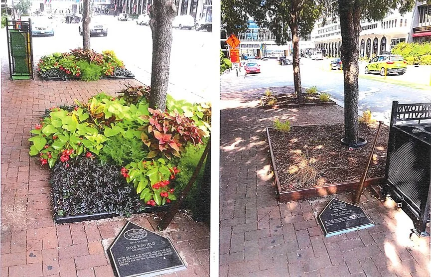 Tree Well Improvements - Downtown Louisville