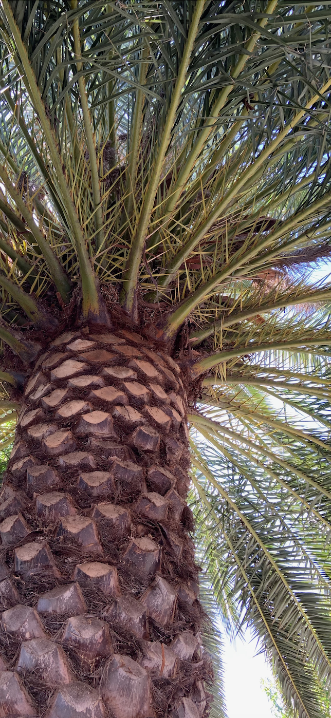 Screen Shot 2021-04-27 at 6.23.48 PM.png