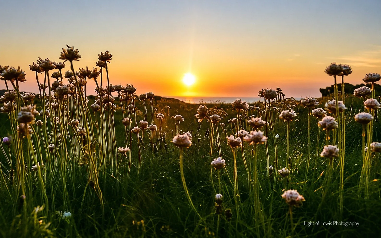 Machair Sunset 