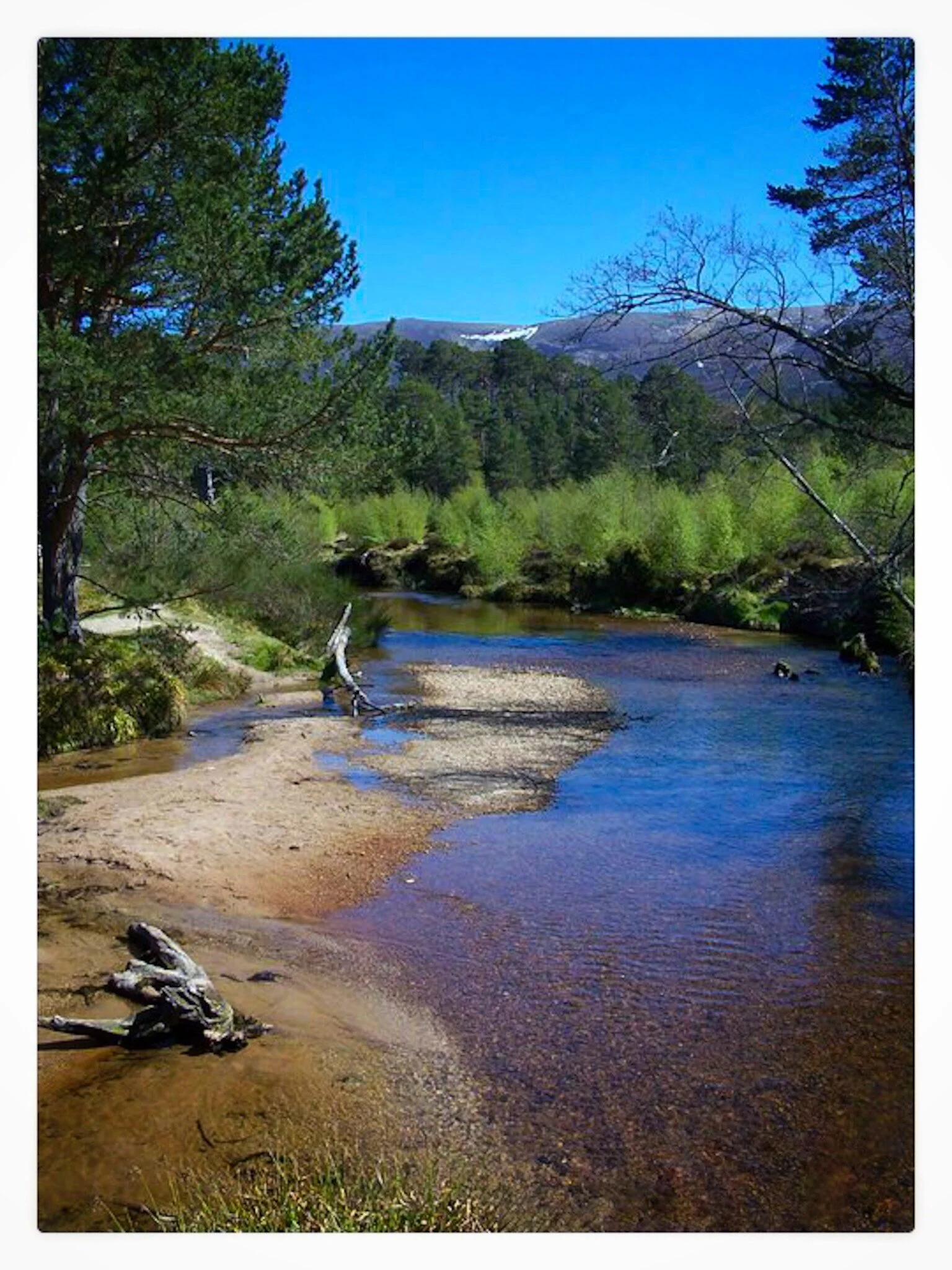 Cairngorms National Park