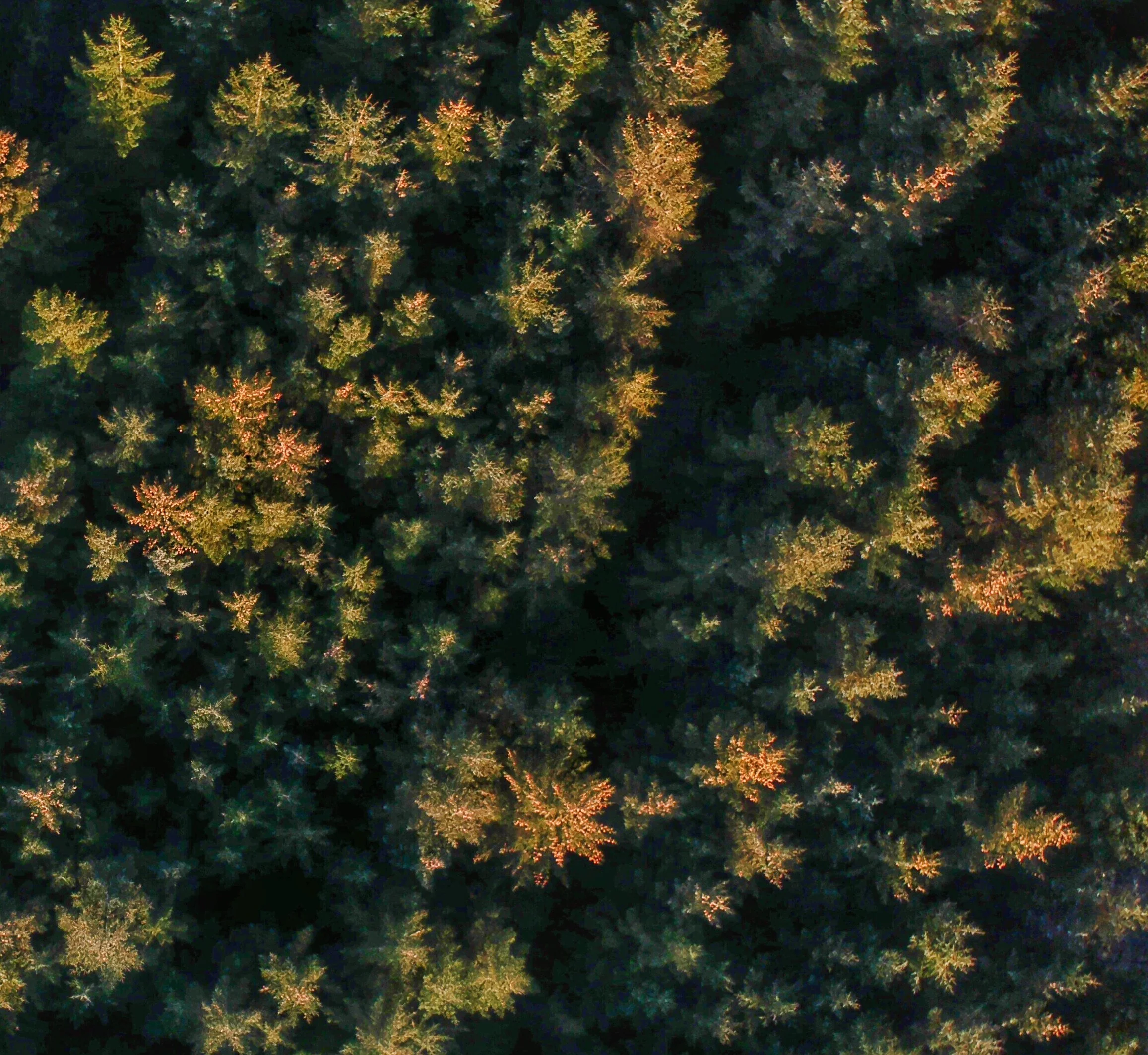 From above