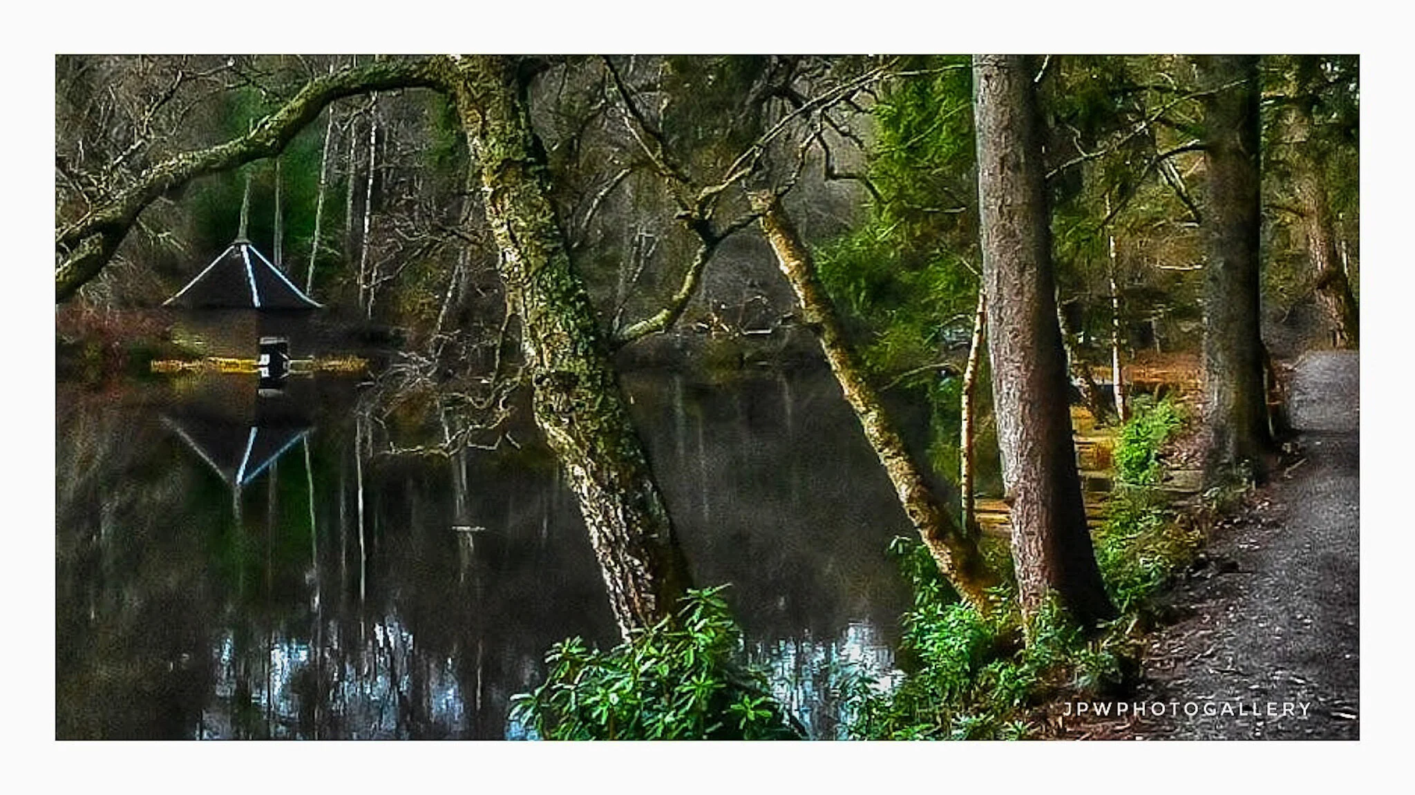 Faskally Wood