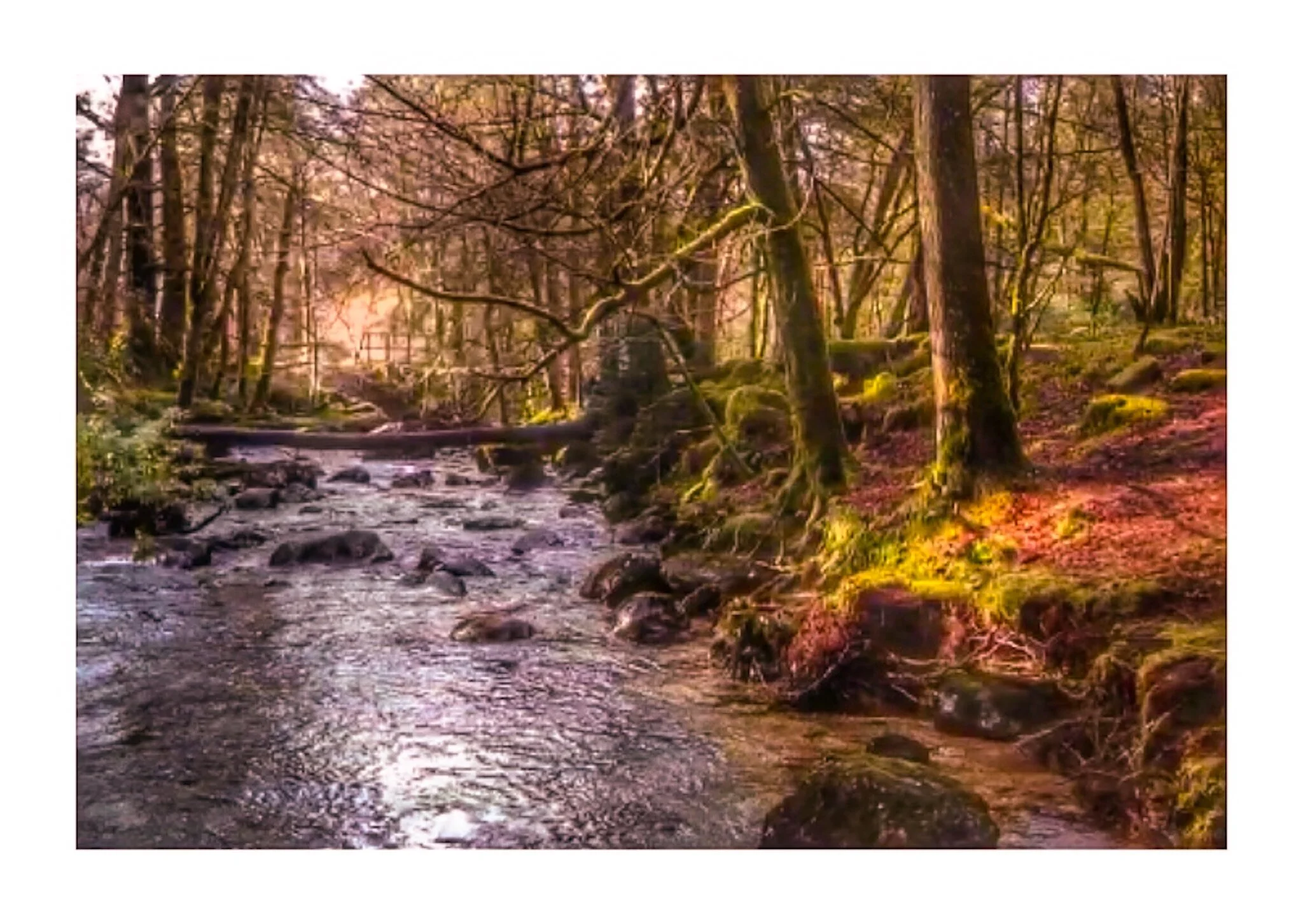 Peace & Tranquility
