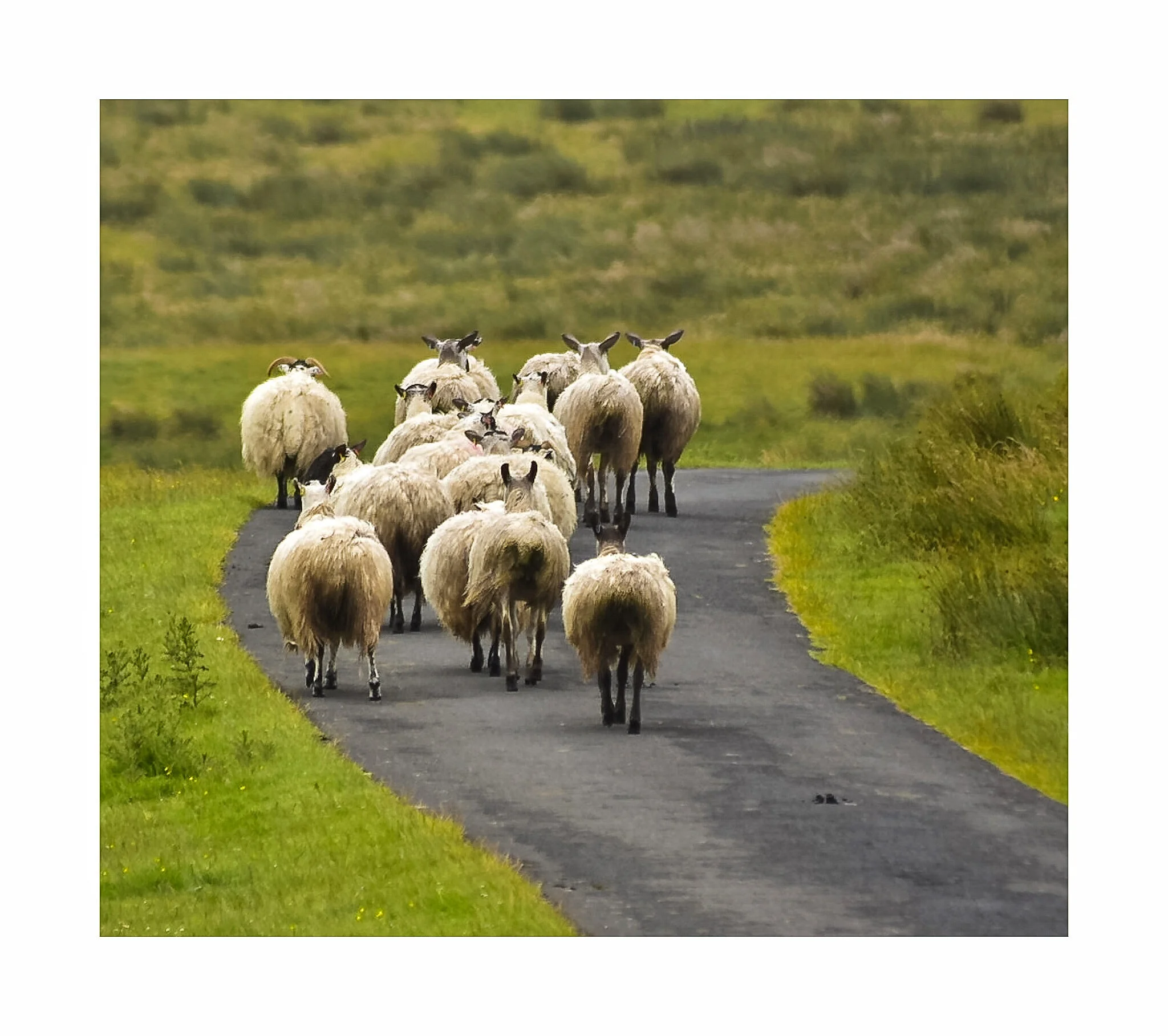 On the move