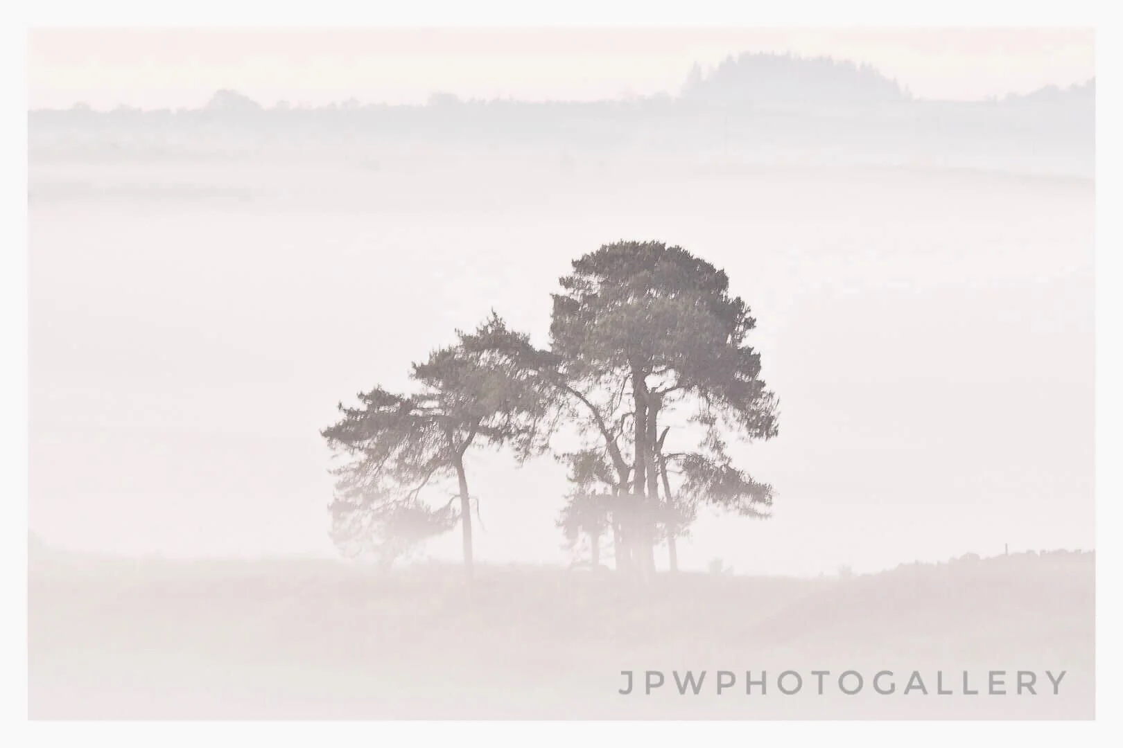 DR : 66 - Misty Morning