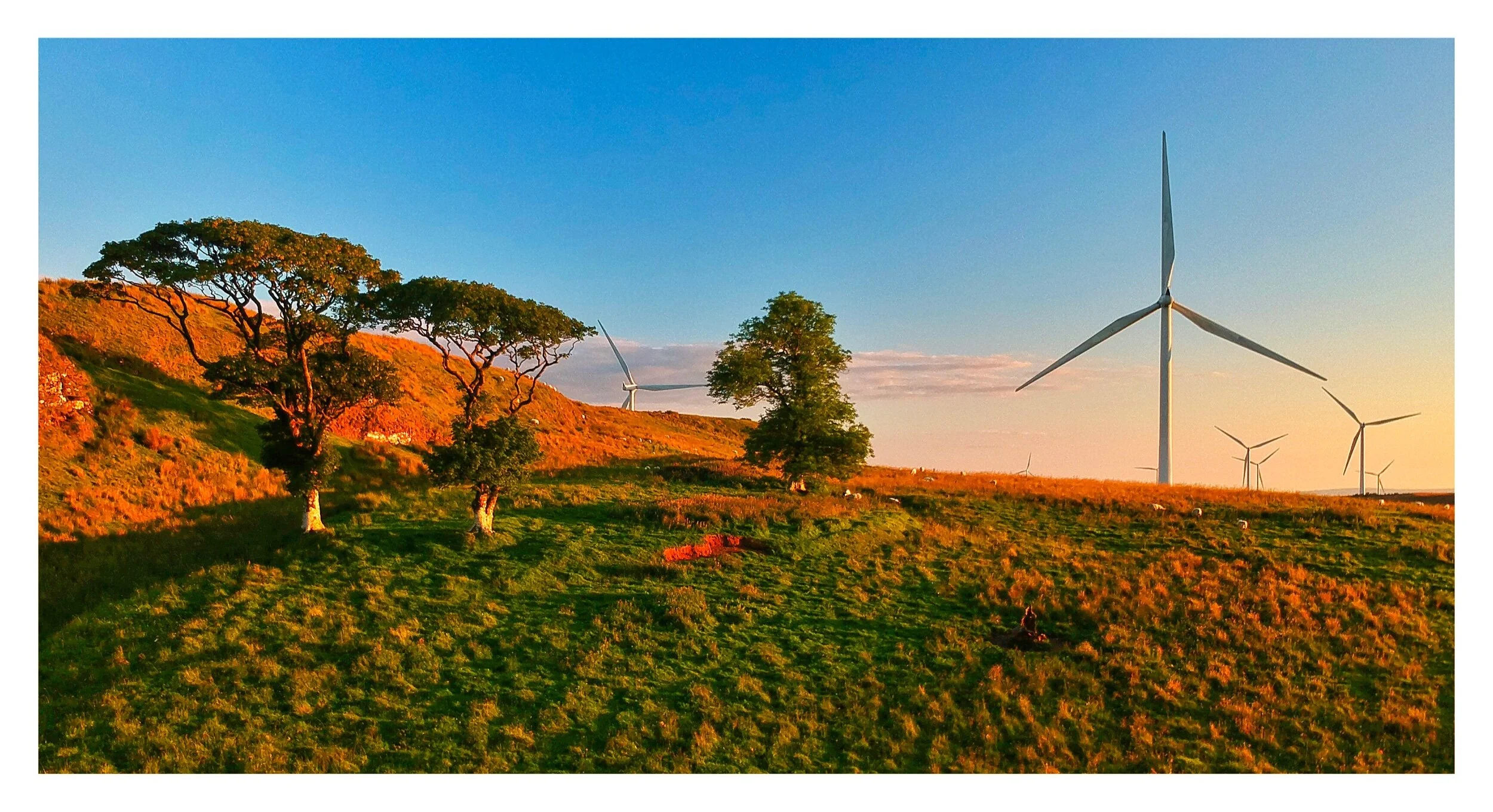 DR : 76 - Whitelee Windfarm