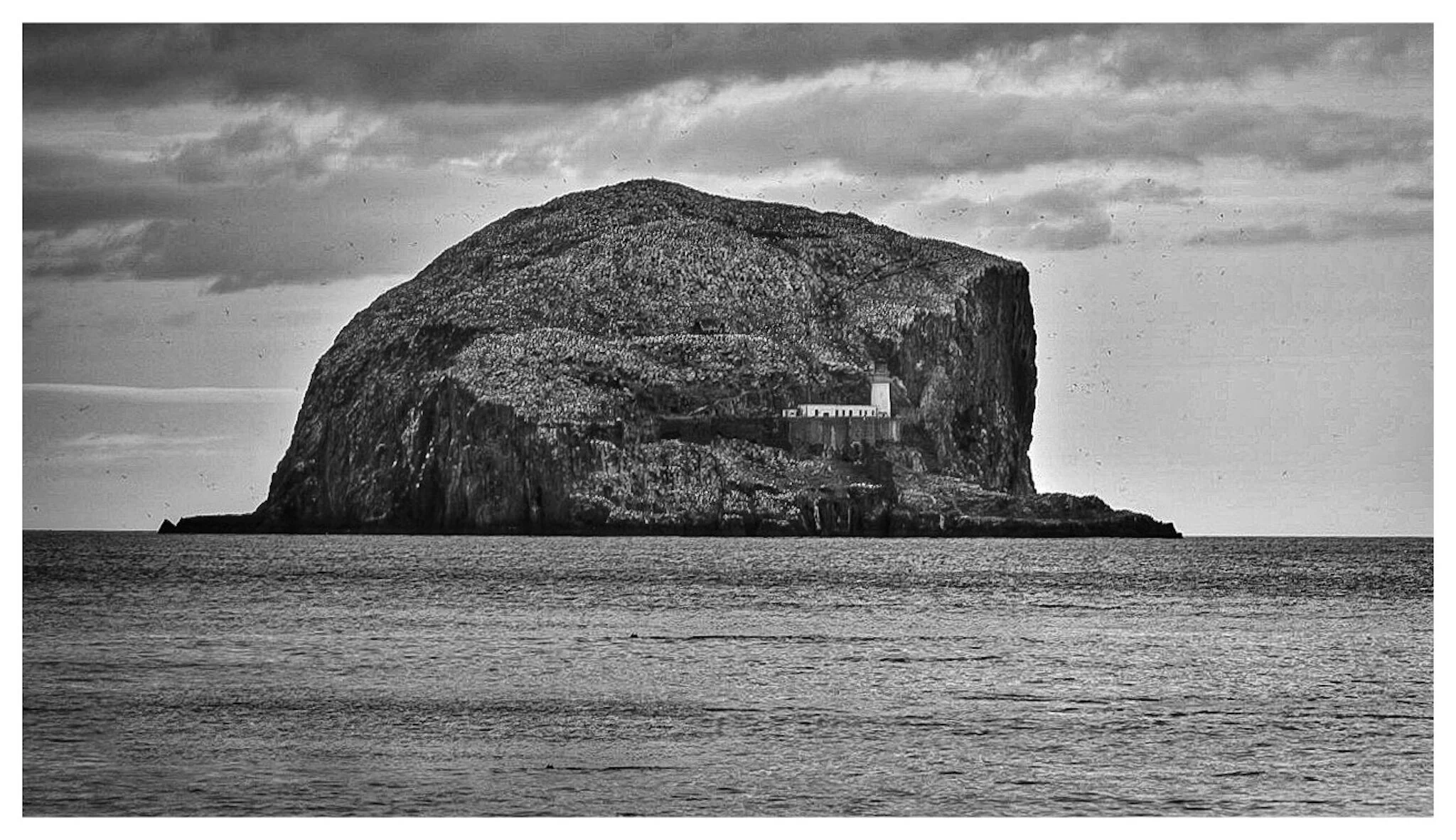 Bass Rock Lighthouse