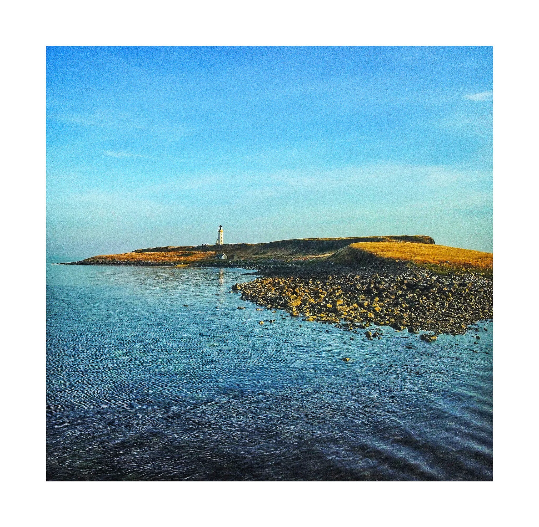 LH : 14 - Pladda View