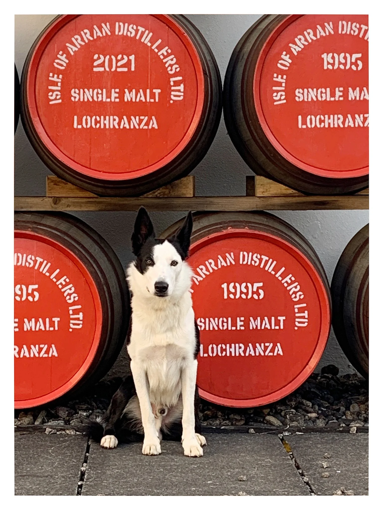 AR-63 : Guarding the Whisky