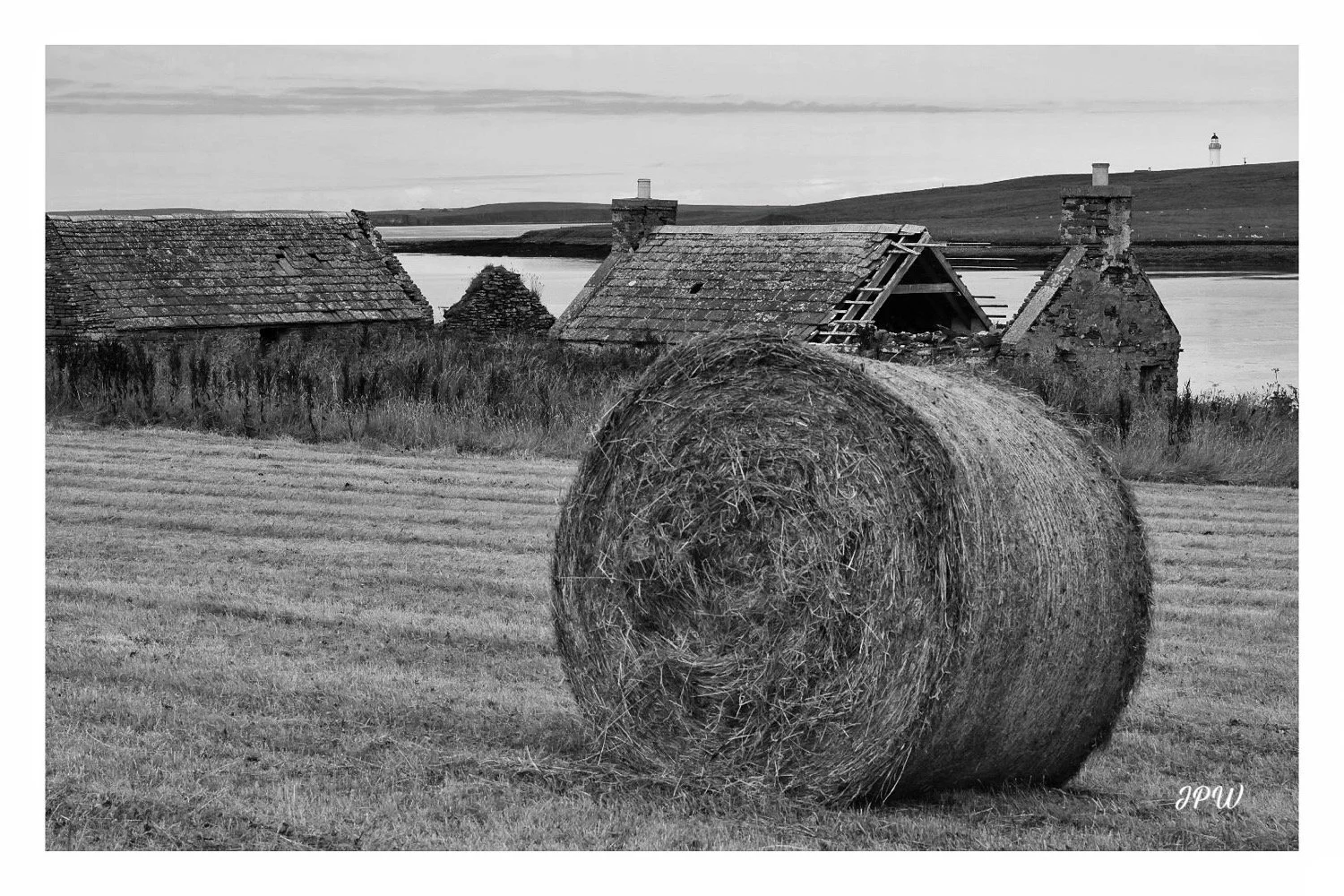 The Harvest