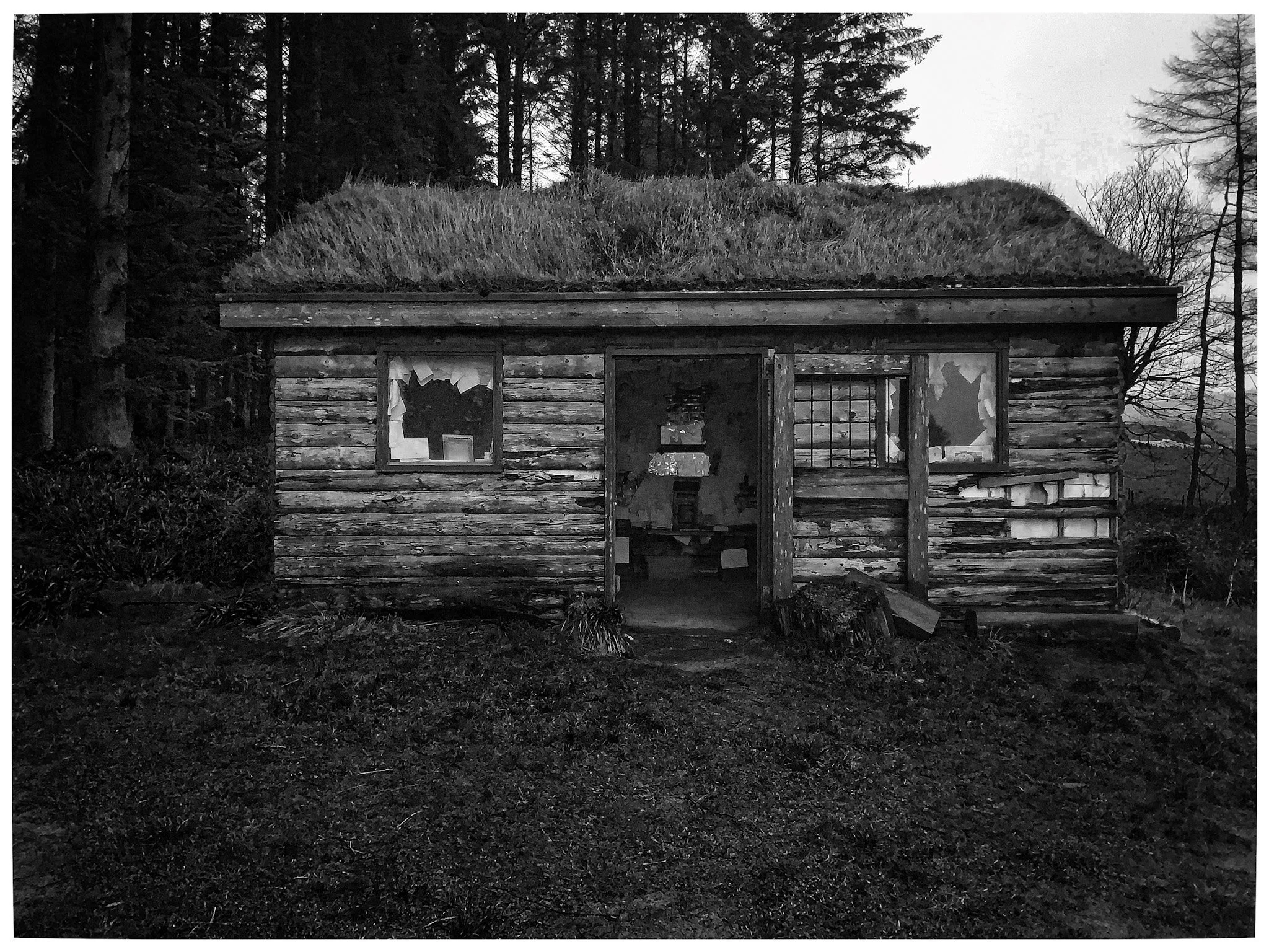 AR-24 : The Library in the woods