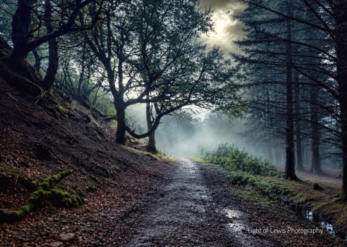 Lews Castle Grounds (Woodland Photography).