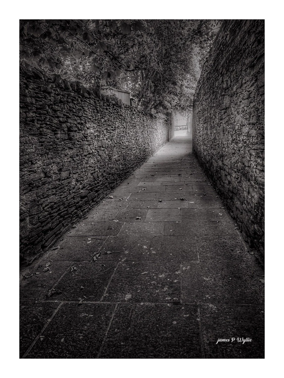 Kirkwall