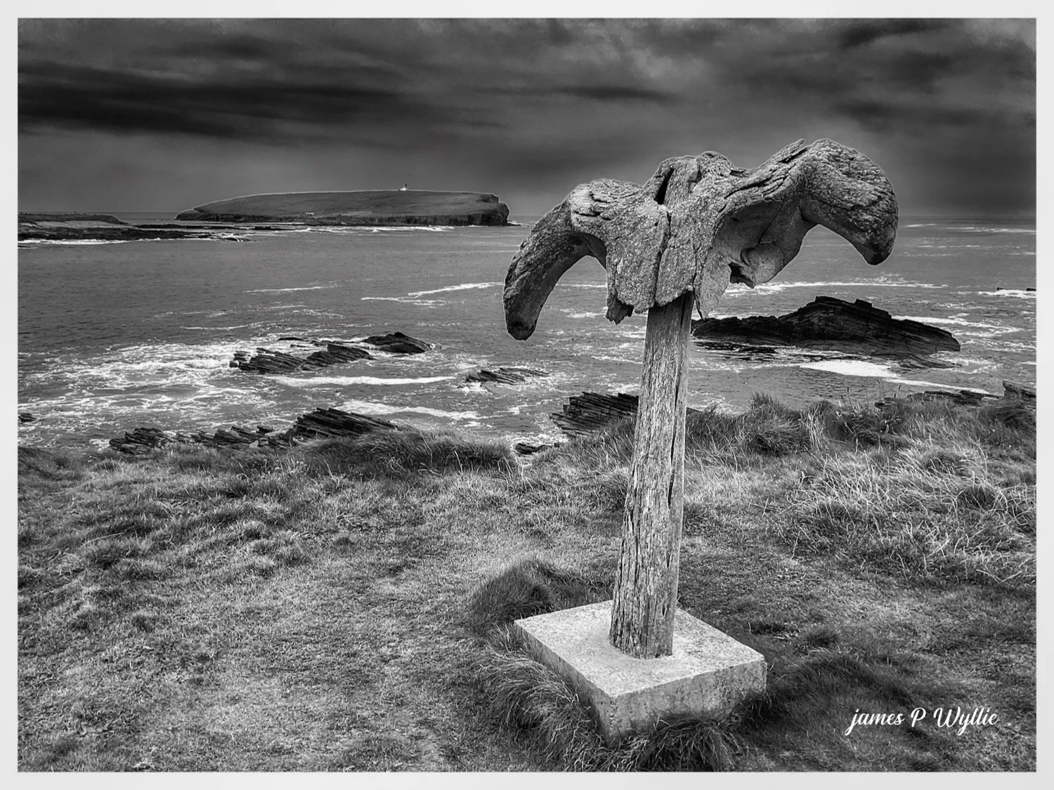 The Whale Bone
