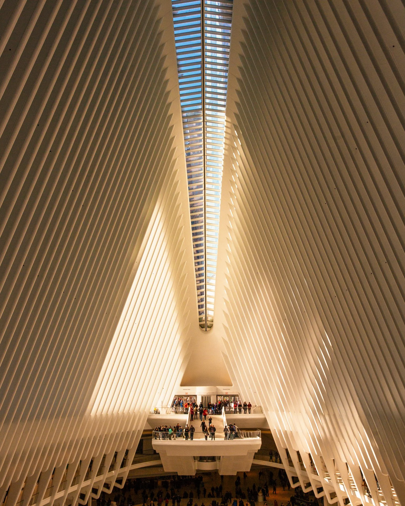 Santiago Calatrava, The Oculus 