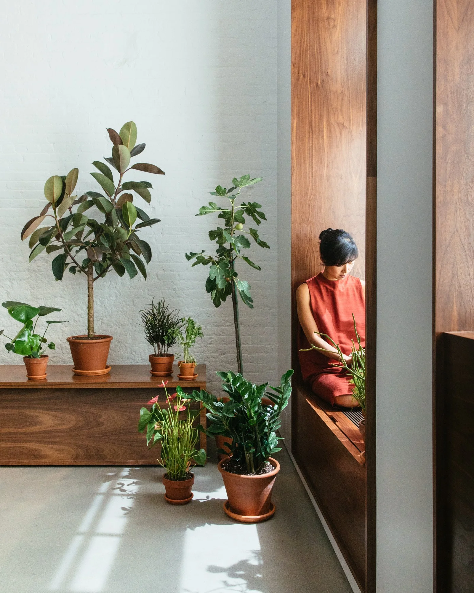 Dash Marshall Architects