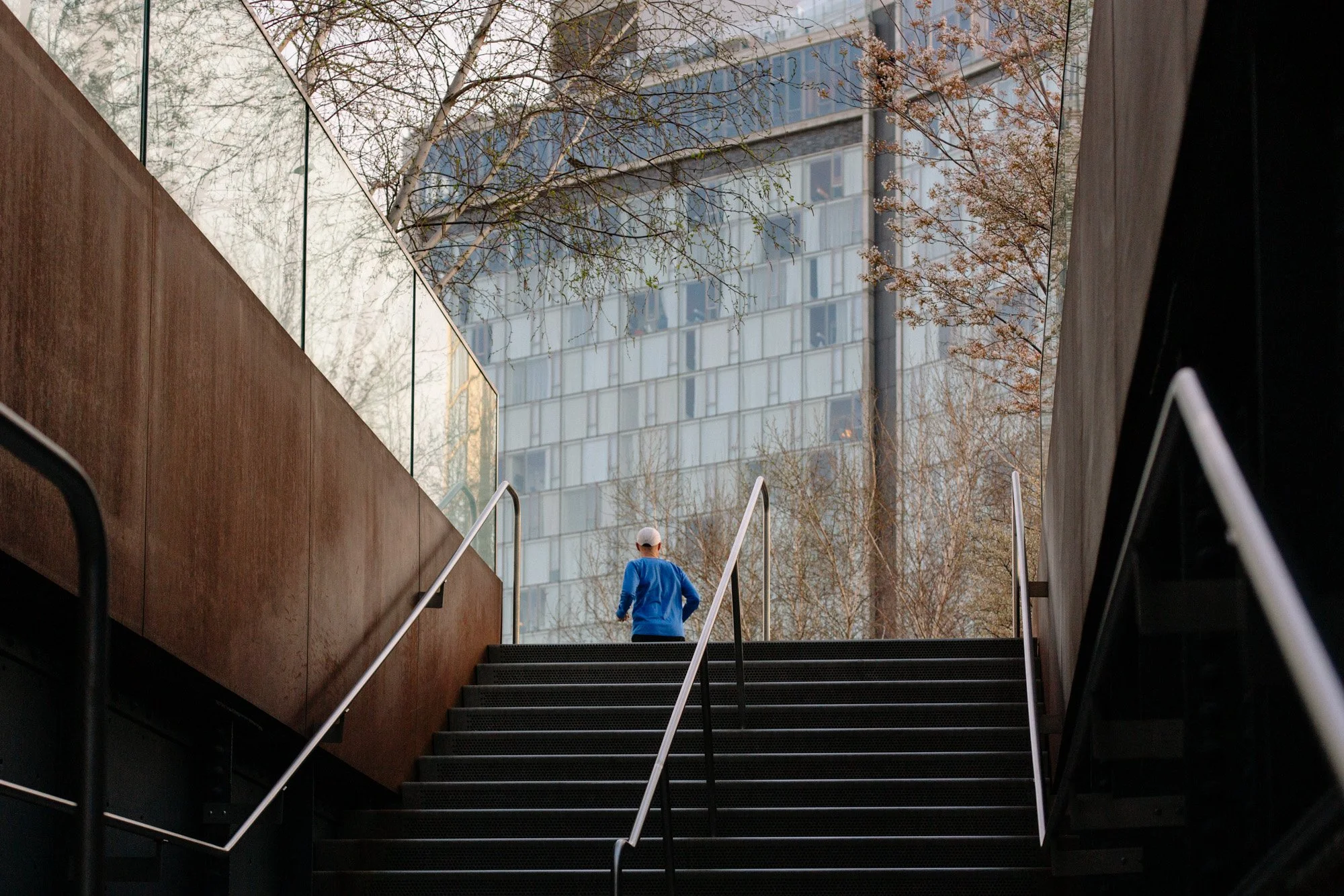 Diller, Scofidio & Renfro - The High Line NYC