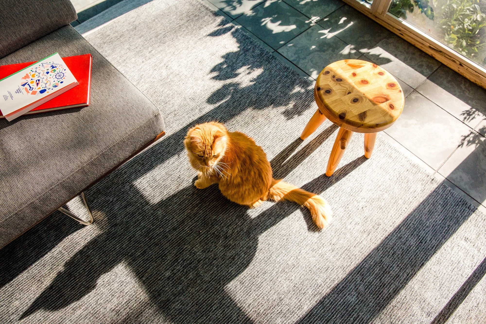 Dash Marshall Architects