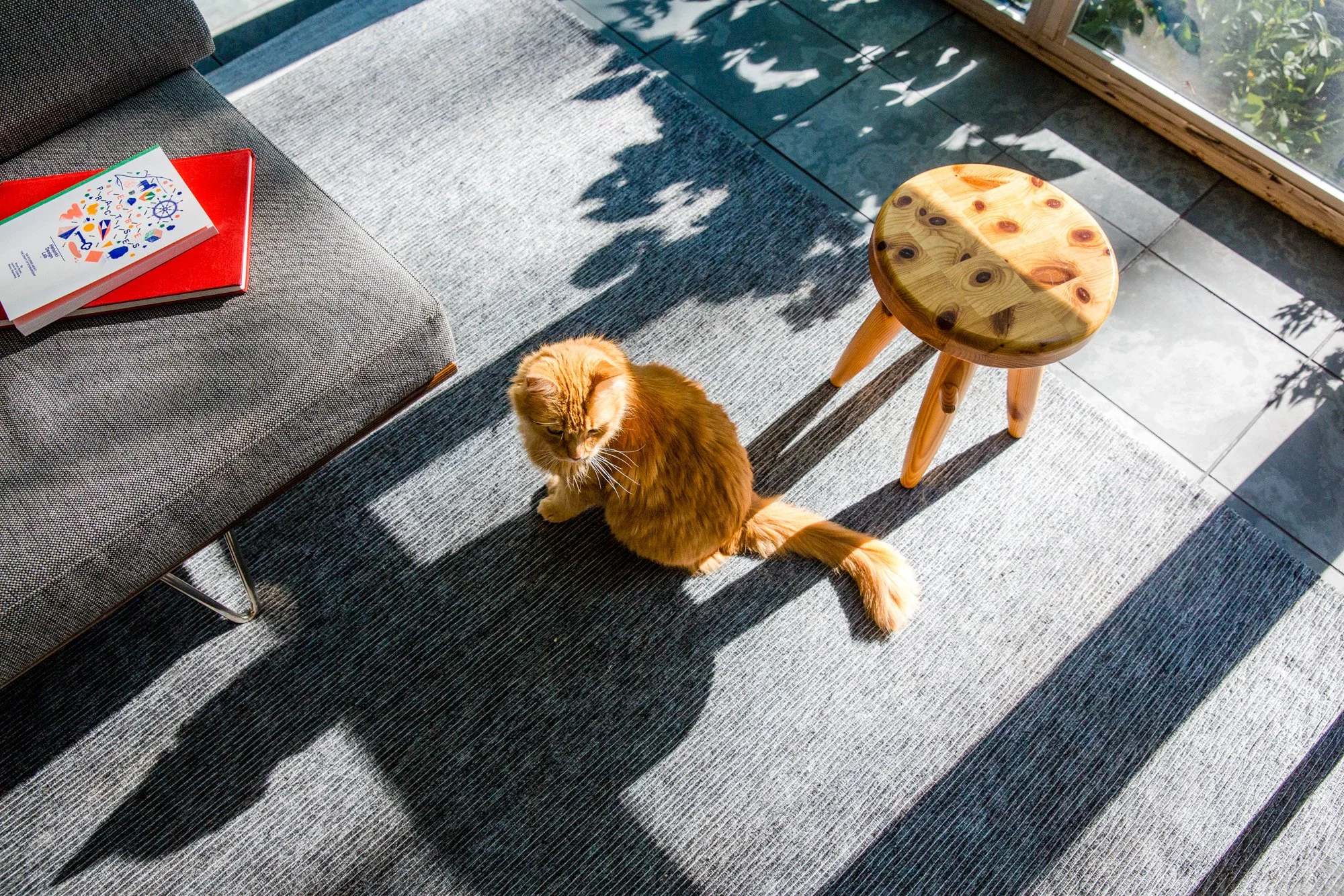 Dash Marshall Architects