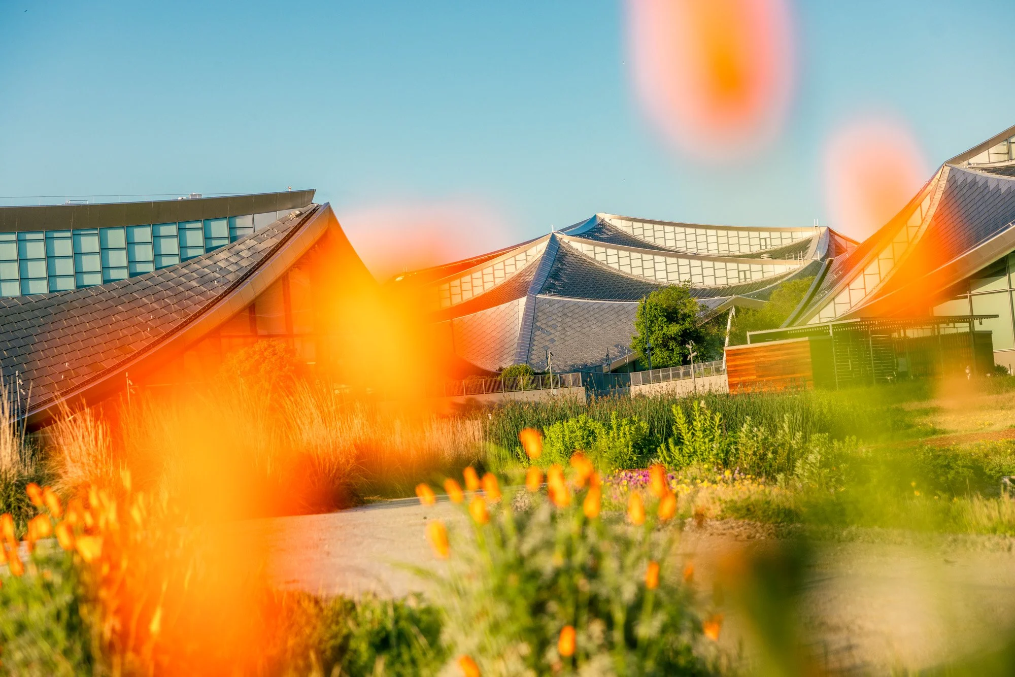 Bjarke Ingles Design - Google Bayview