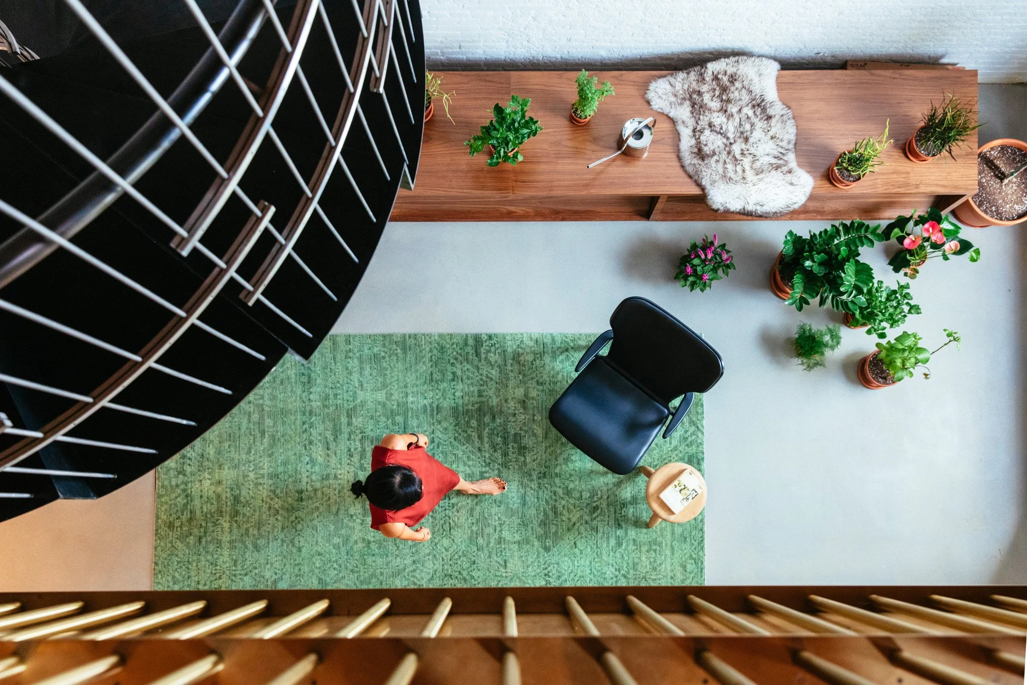 Dash Marshall Architects