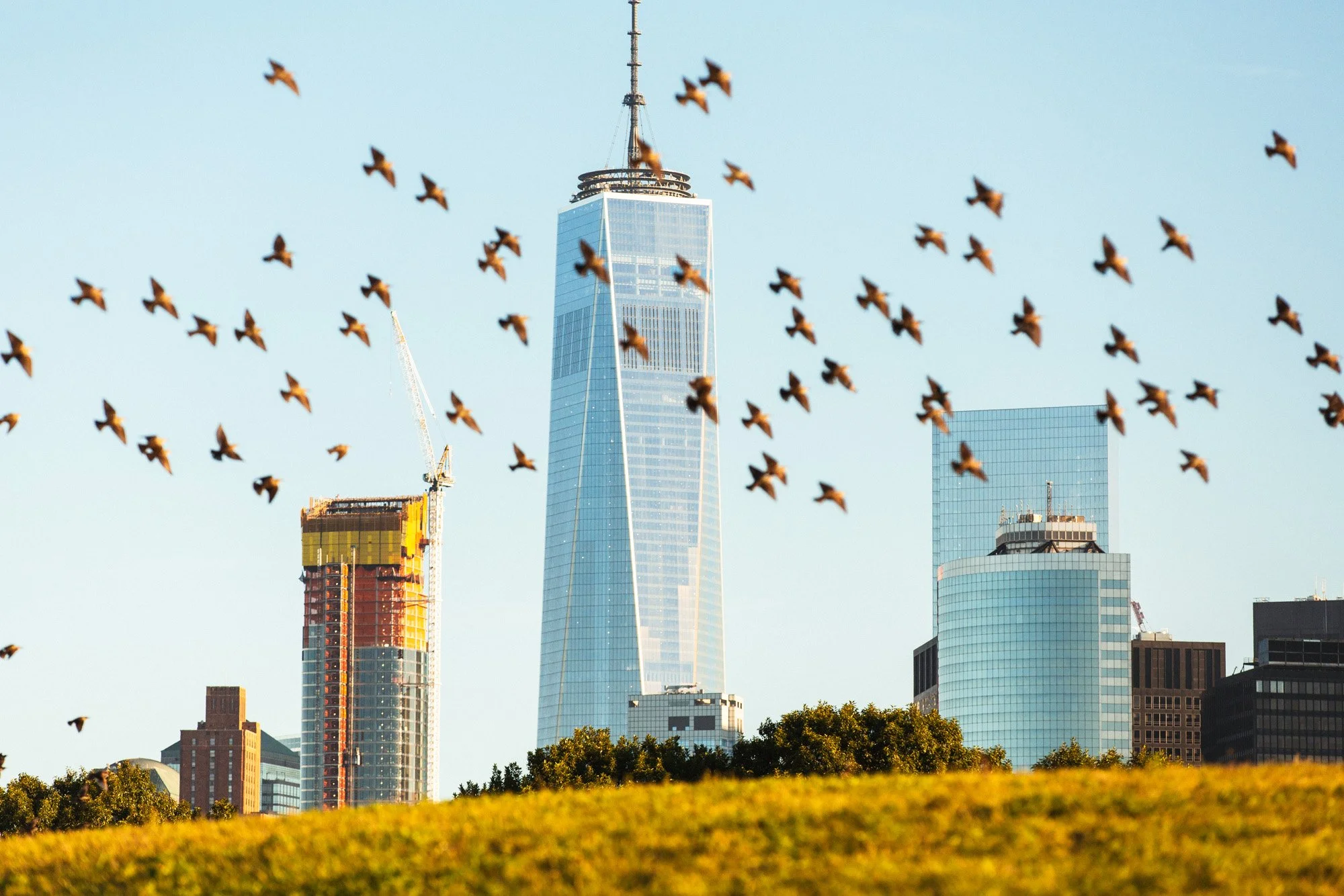 Governor's Island Trust