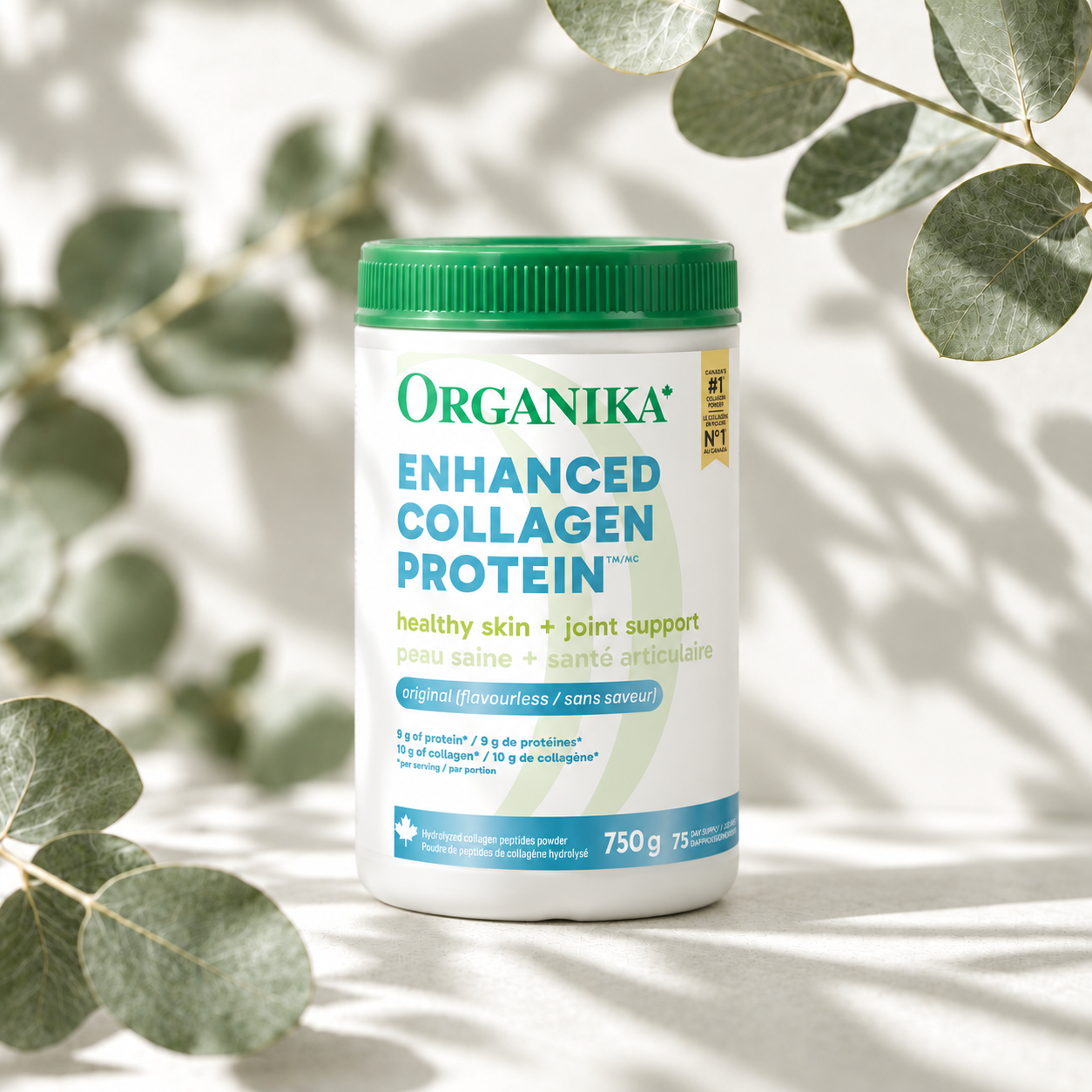 Collagen-1.png
