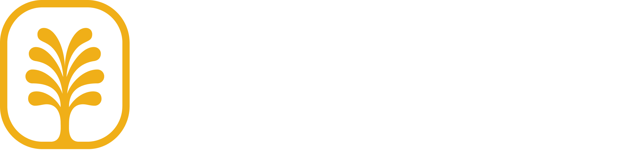 The logo of IceeMy with a stylized yellow leaf inside a black outline on the left and the word 'IceeMy' in white text on a black background.