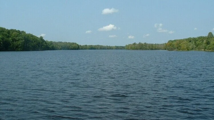 Our Partnership with Menominee Tribal Members on the Rights of the Menominee River 