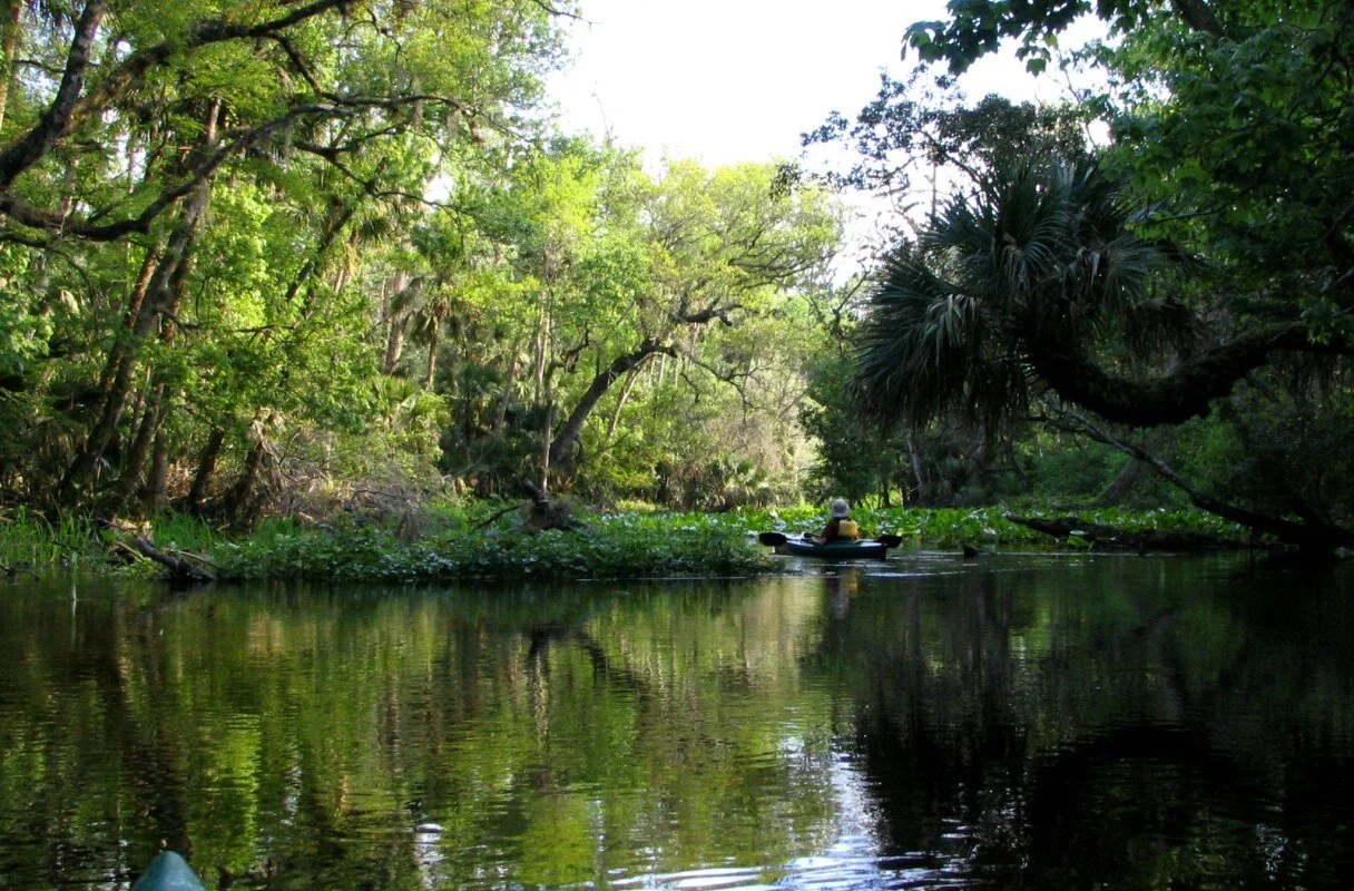 Southerly Magazine: Inside the fight to give Florida rivers legal rights