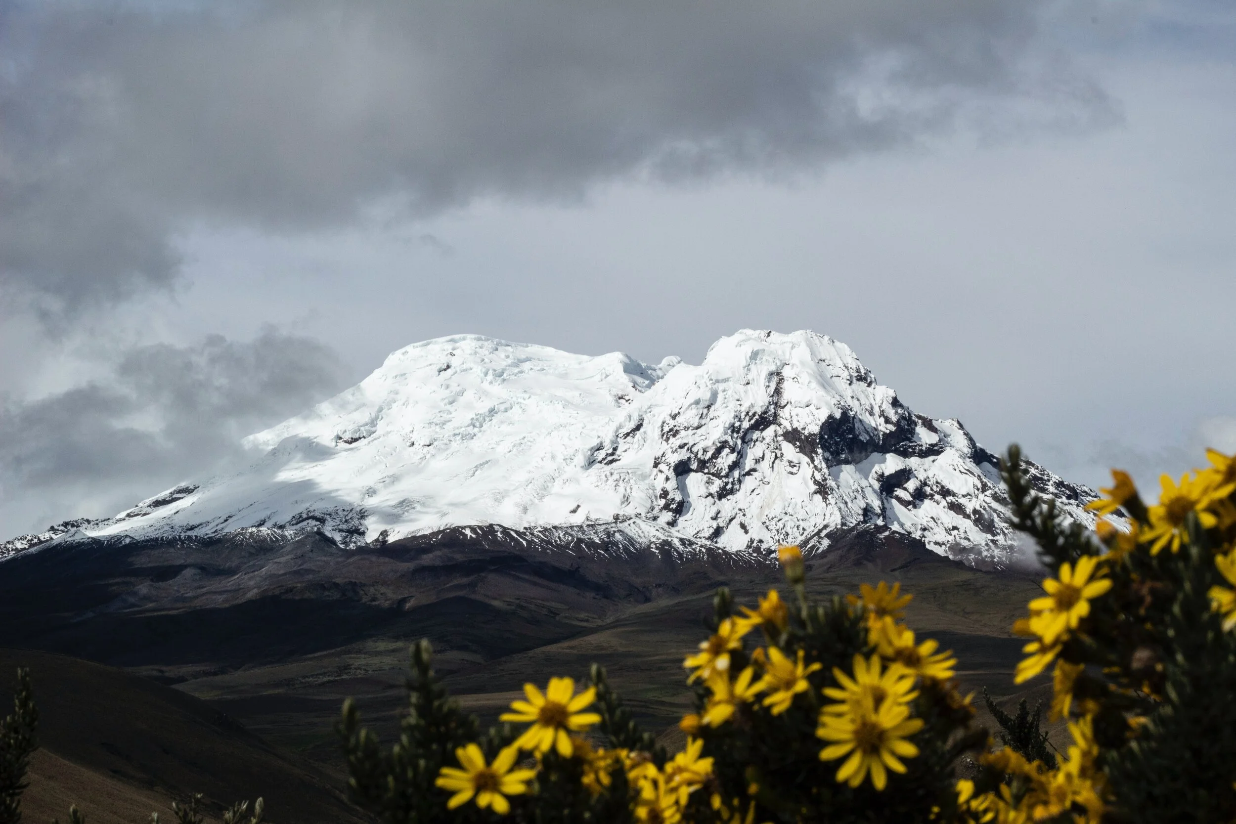 CDER Submits Amicus Curiae Brief in Nangaritza Case in Ecuador-1/14/2021