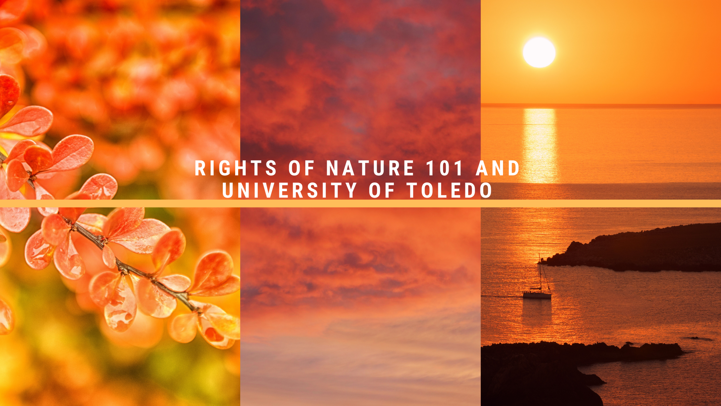 New Rights of Nature Videos Available-2/12/2021