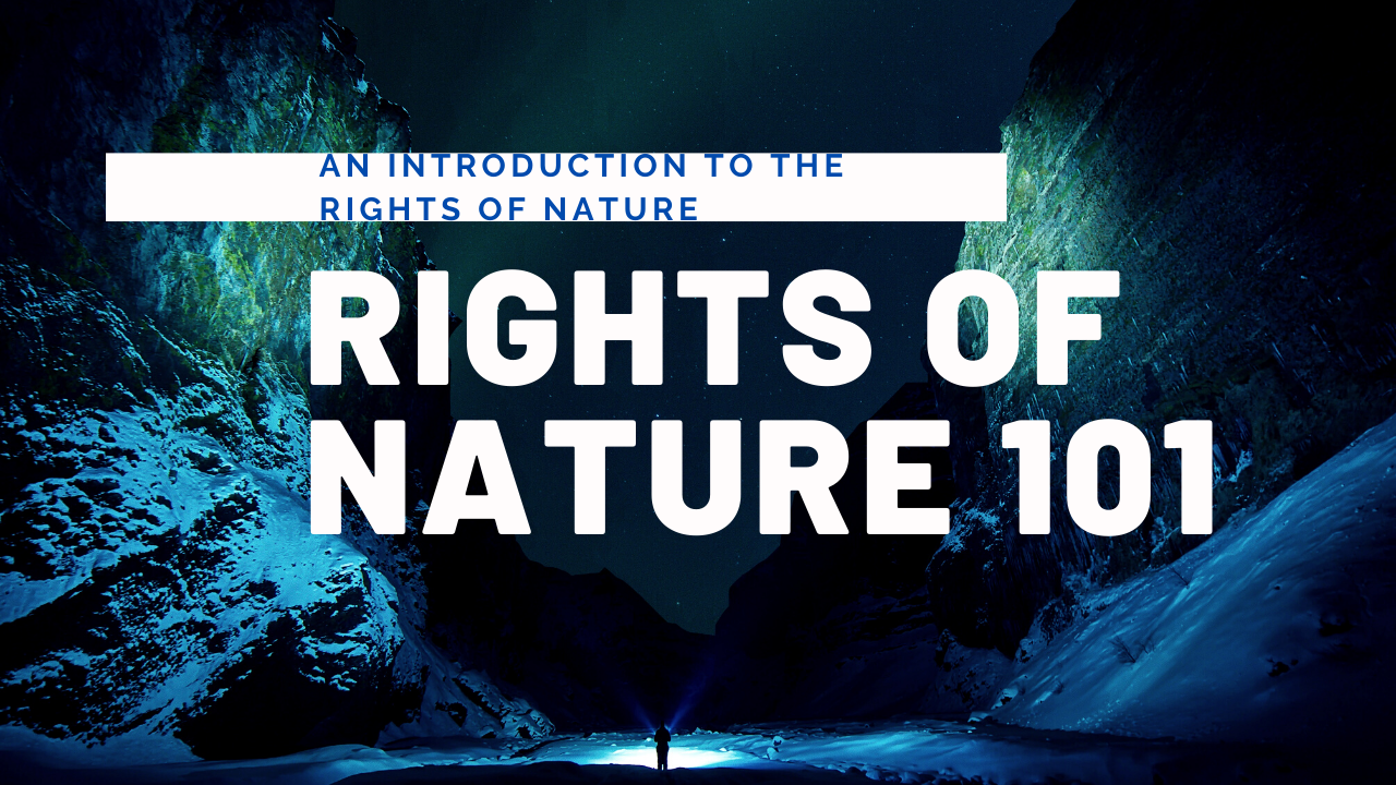 Rights of Nature 101: Focus on the Magpie River, Quebec 