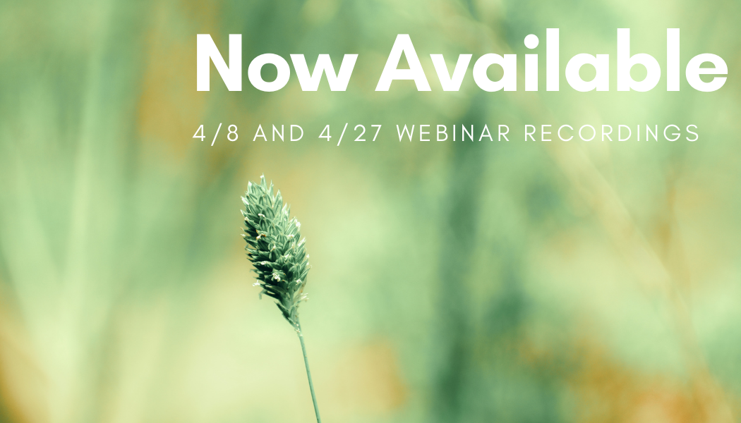 Rights of Nature 101: An Introduction to the Rights of Nature and Global Developments in the Rights of Nature: Tribal Nations Available for Viewing-5/5/2021