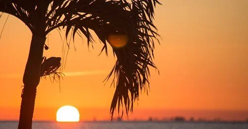 News: WGCU: "Rights of Nature" Proposed for Florida Constitution-6/7/2021