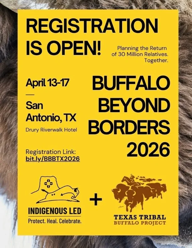 Buffalo Beyond Borders 2026 Conference