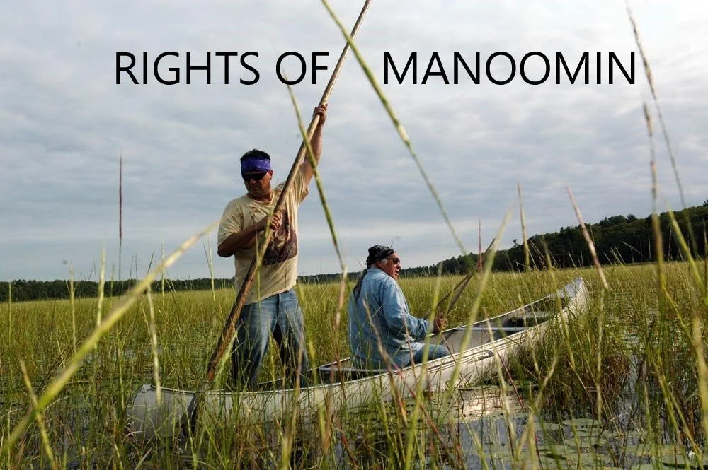 Rights of Nature, Tribal and First Nations - Learning Session
