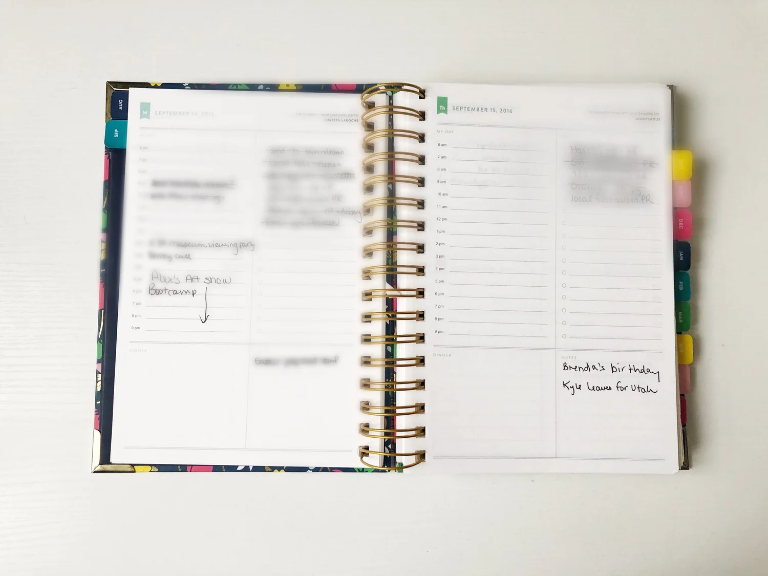 5 ways the Simplified Planner changed my life and career — Olivia Adams