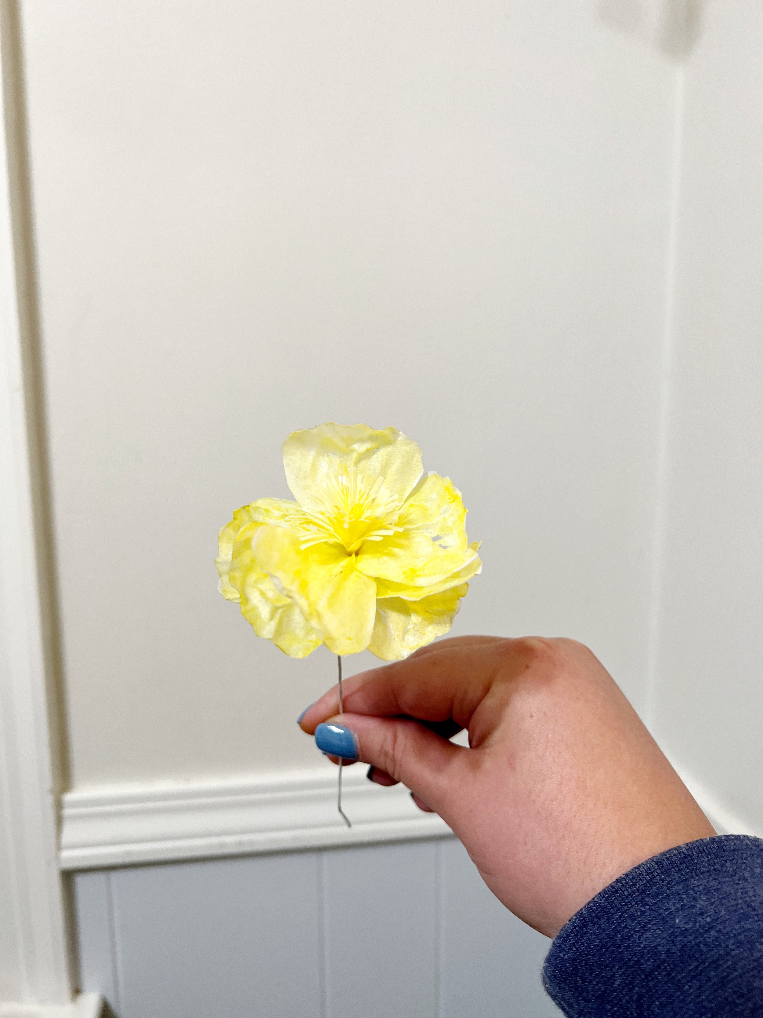 Wafer paper flowers and finding beauty in slow growth — Olivia Adams