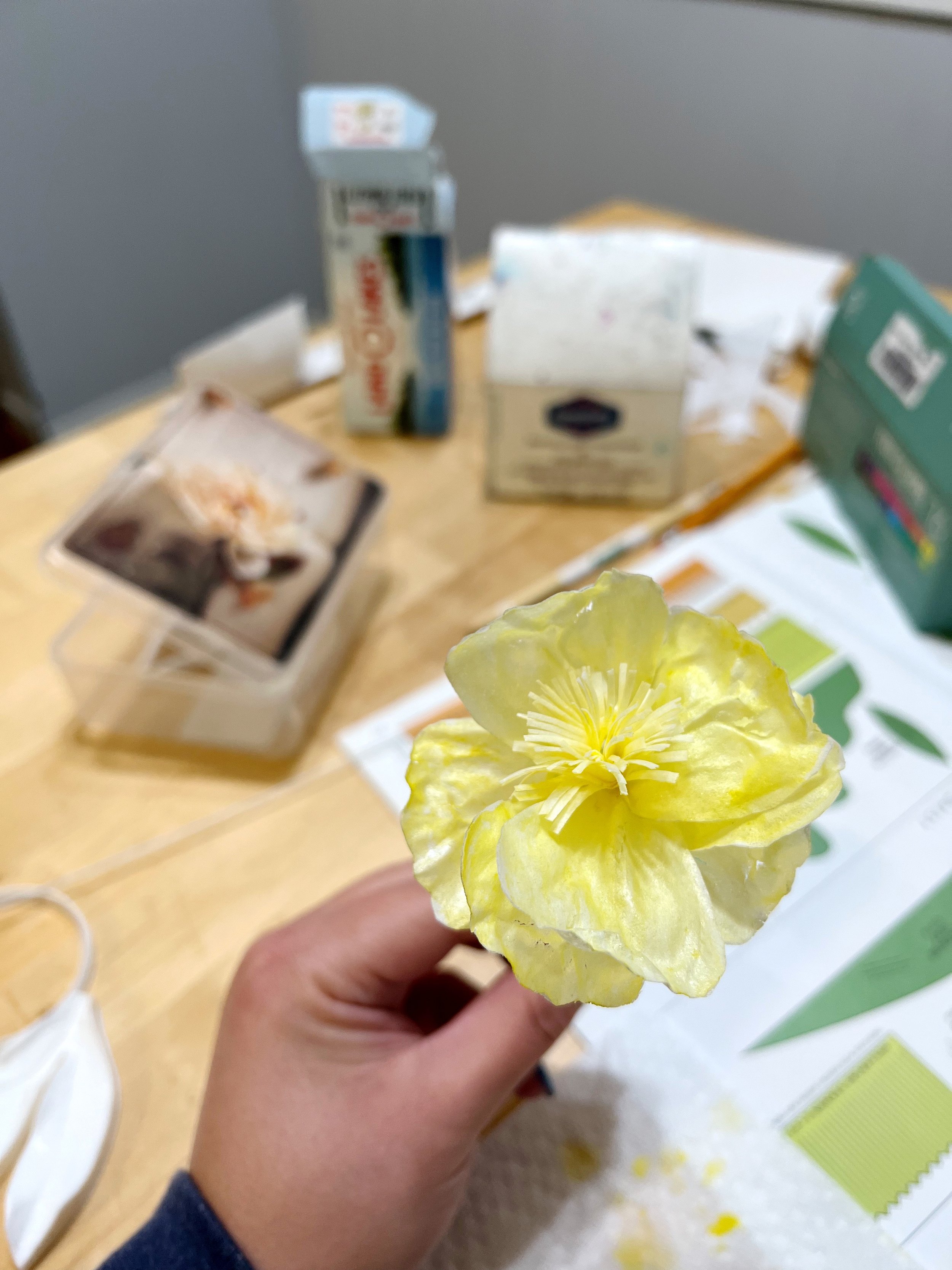 Wafer paper flowers and finding beauty in slow growth — Olivia