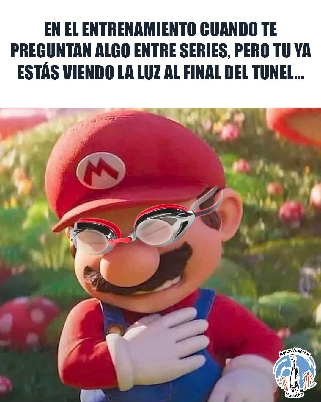 O respiras o hablas 😅 #siguenadando

&bull;
&bull;
#Aguasabiertasyucatan
#openwaterswimming #aguasabiertas #aguasabiertasmexico #swimming